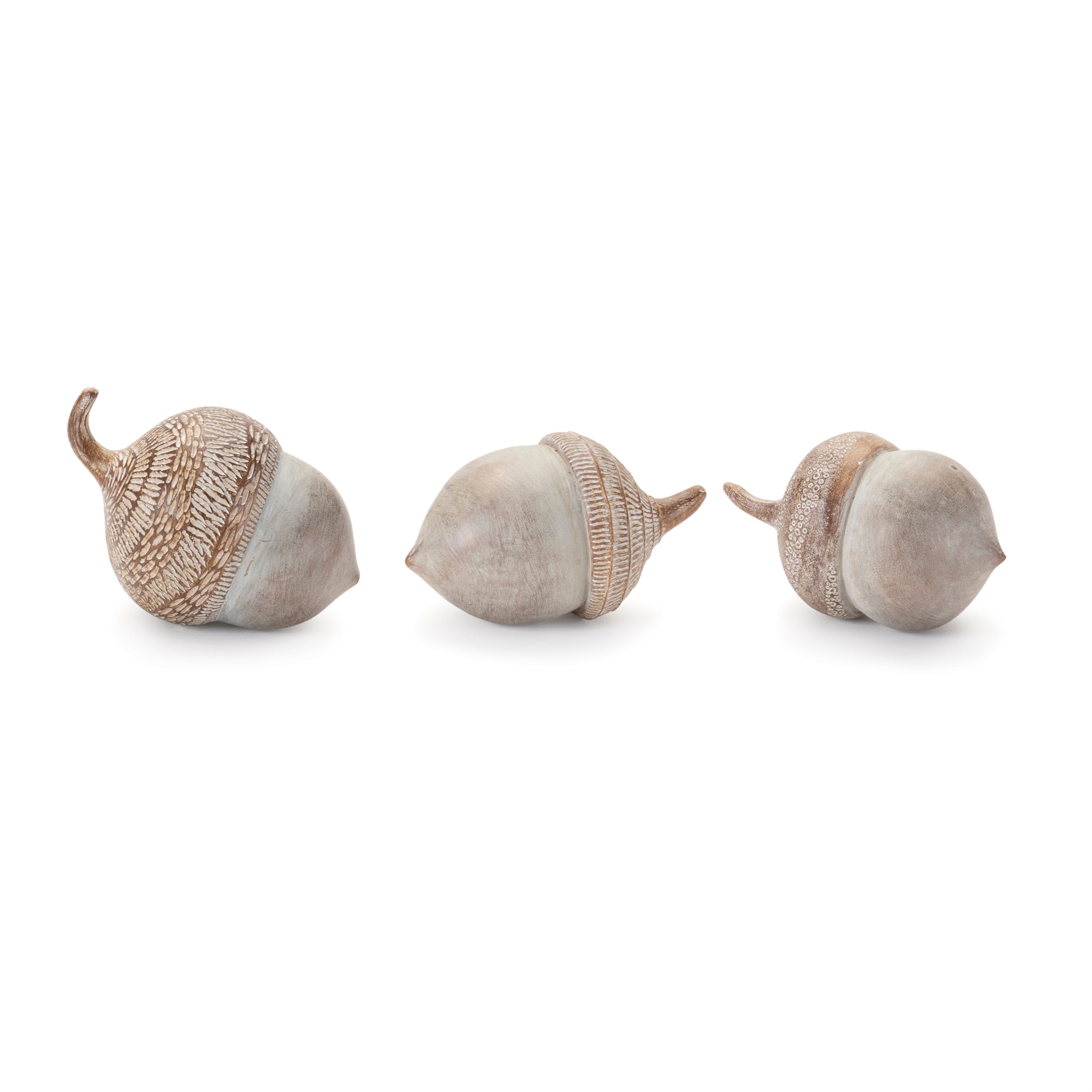 Acorn (3 Asst) 4”H Resin