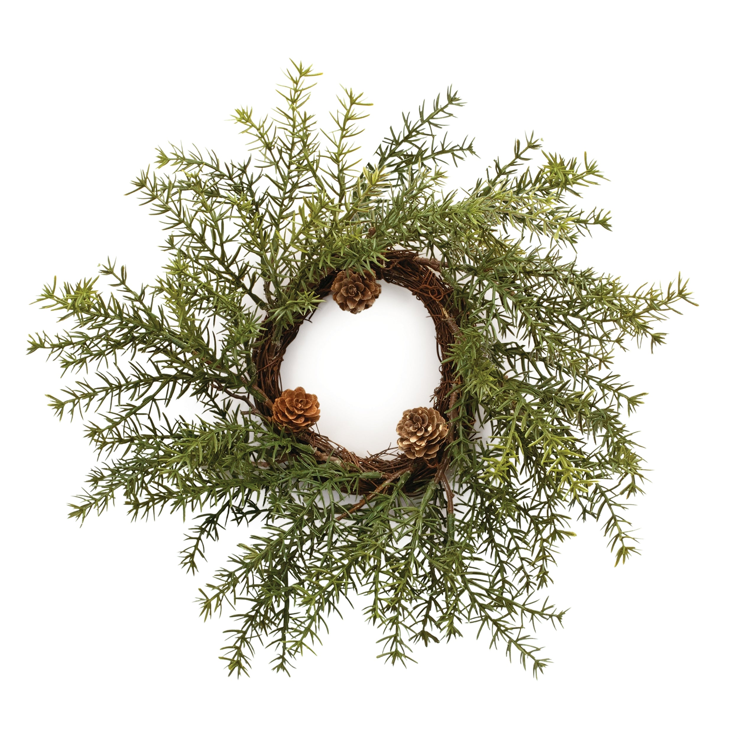 Pine Wreath 12”D