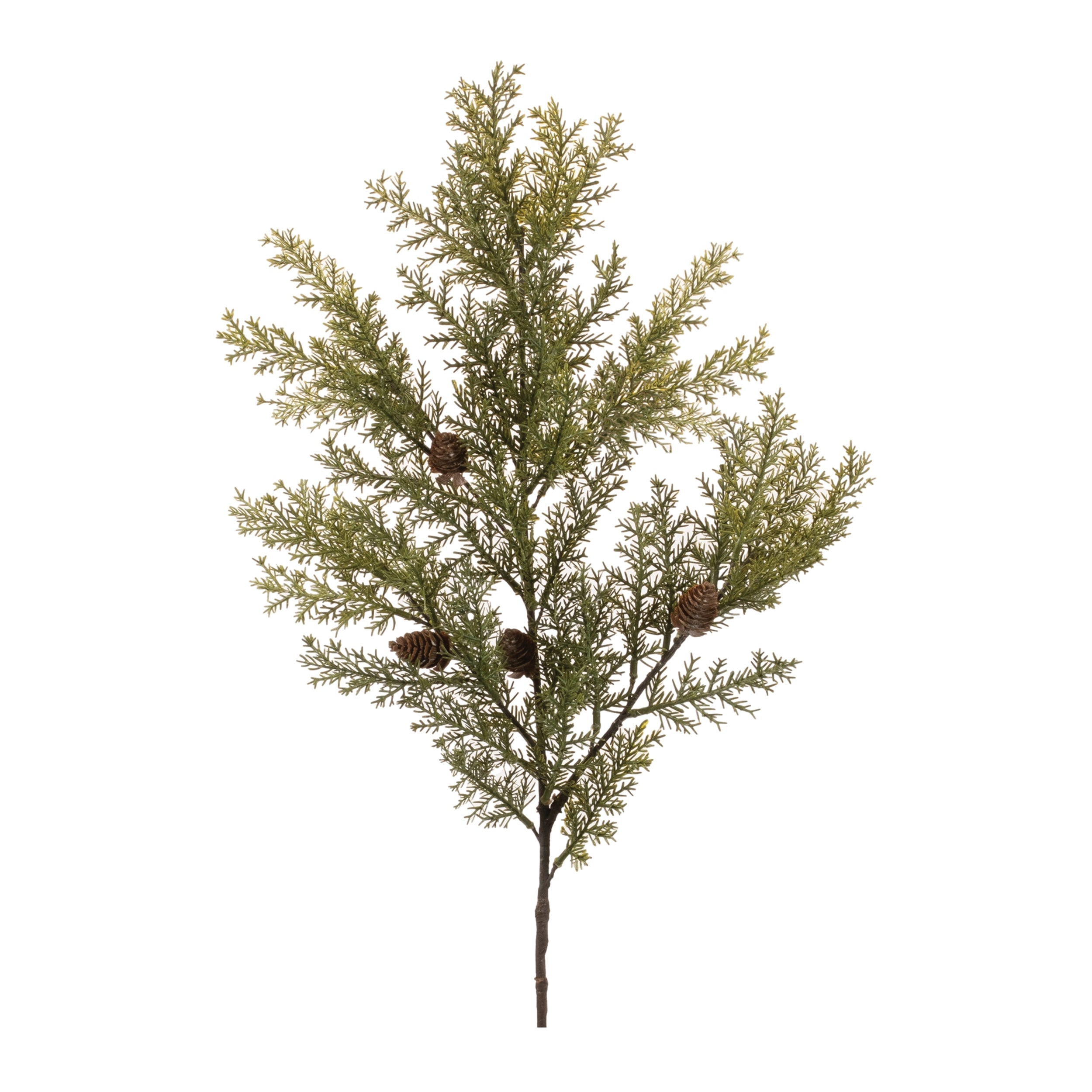Cedar Spray 33"H 33.5"H