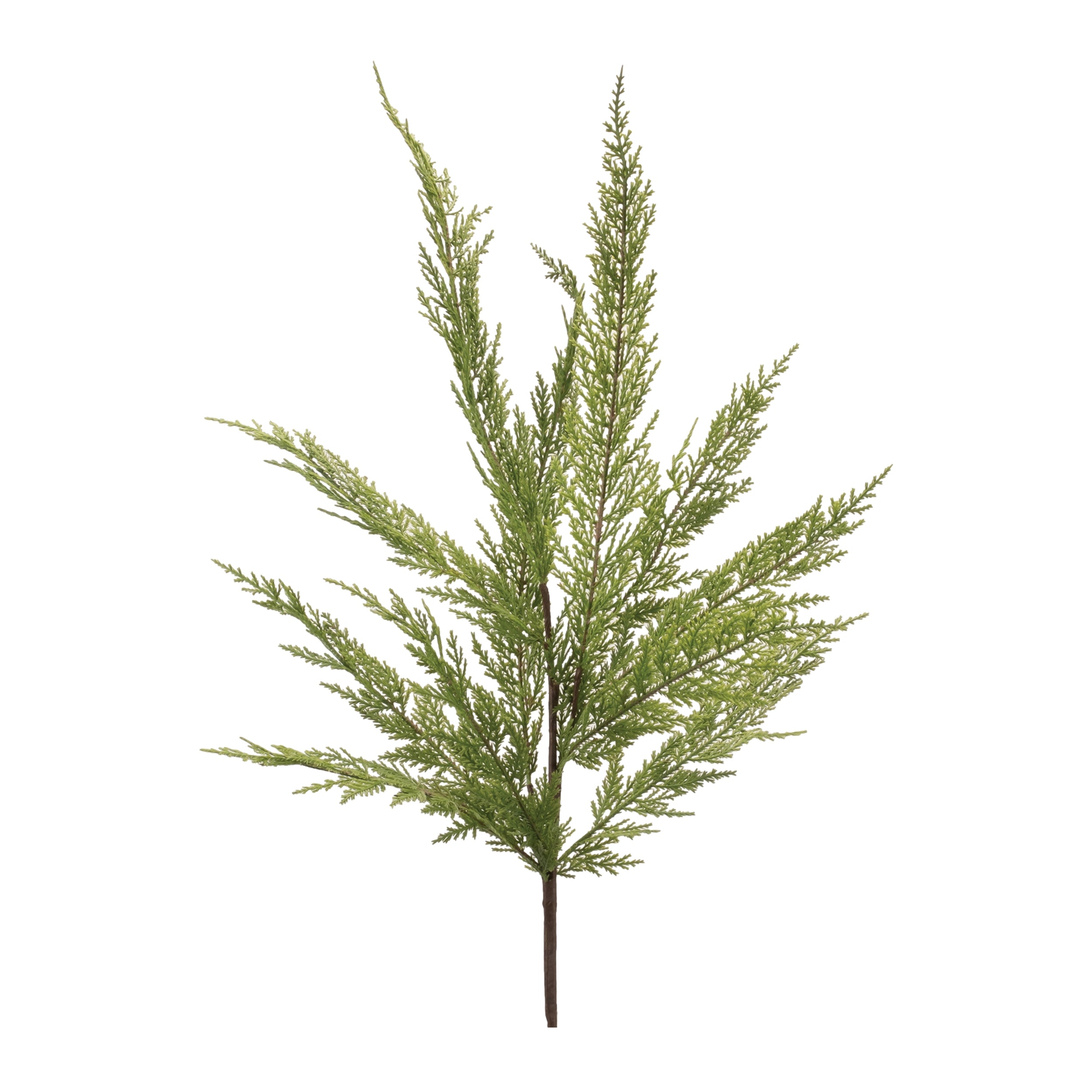 Pine Spray 31.5”H