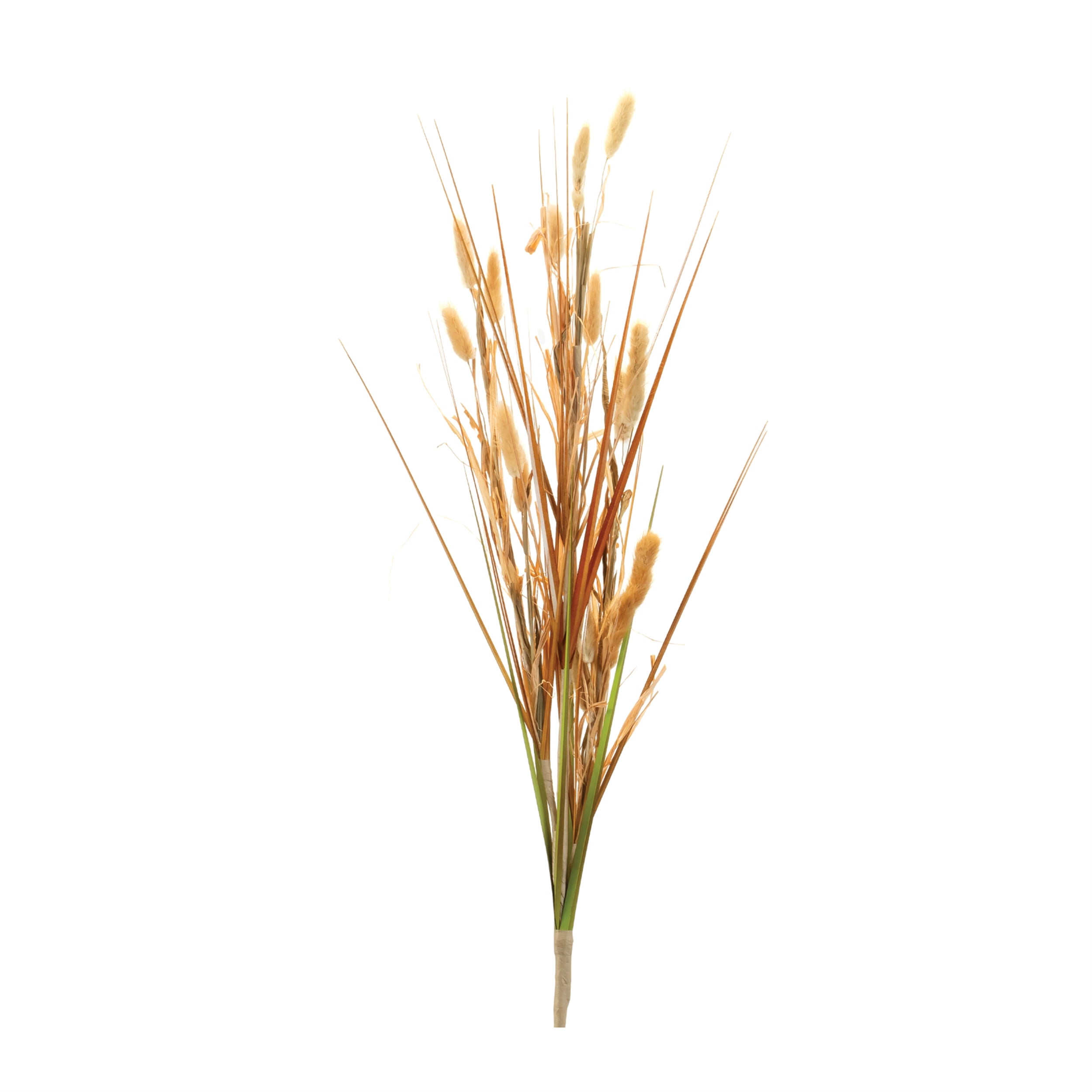 Bunny Tail Bush 32”H