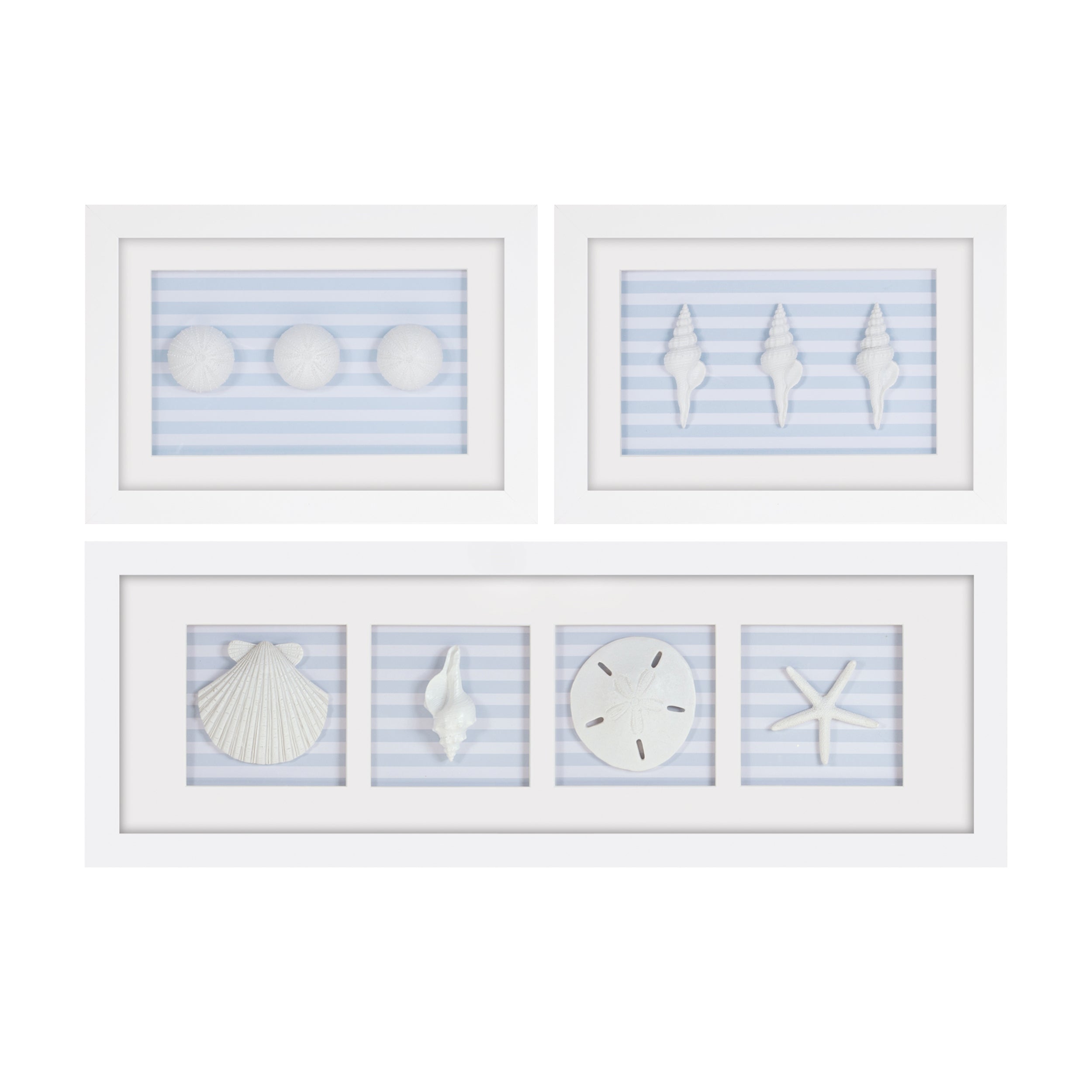 Framed Sand Dollar and Shells Print (Set of 3) 13"L x 9"H, 26.5"L x 9"H /Resin