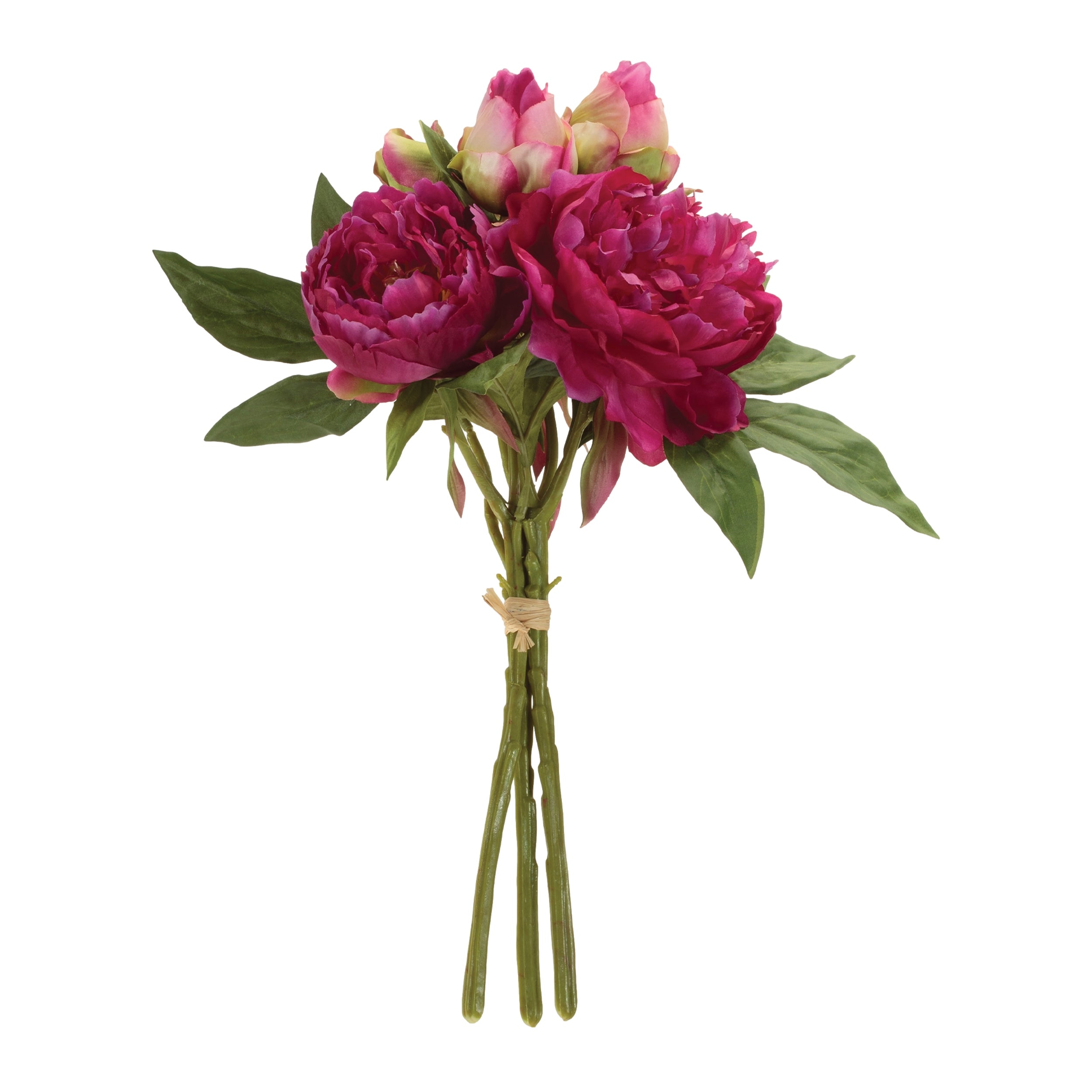 Peony Bundle (Set of 2) 14.5"H Fabric