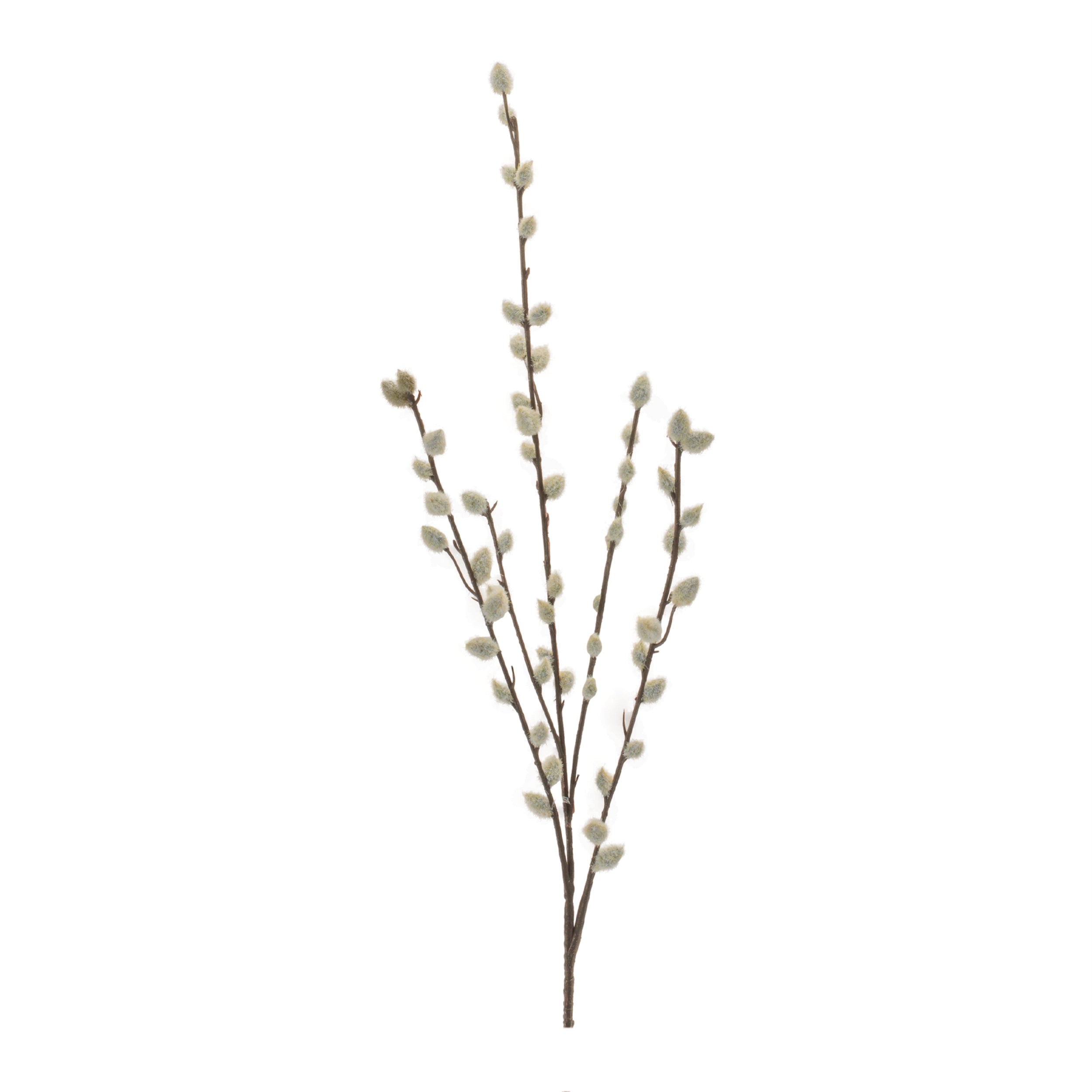 Pussy Willow Stem 30.5”H