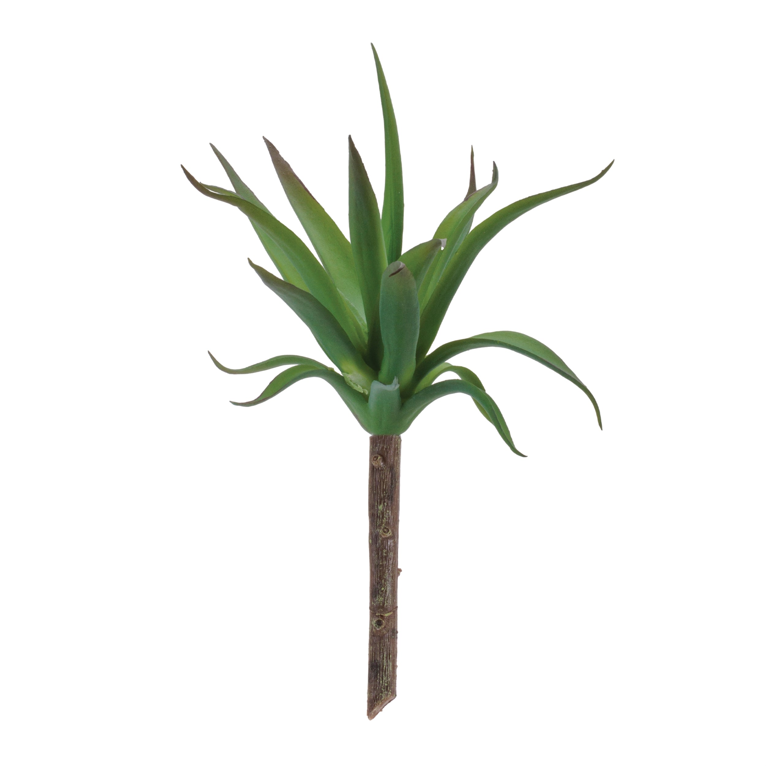 Succulent 8.75”H