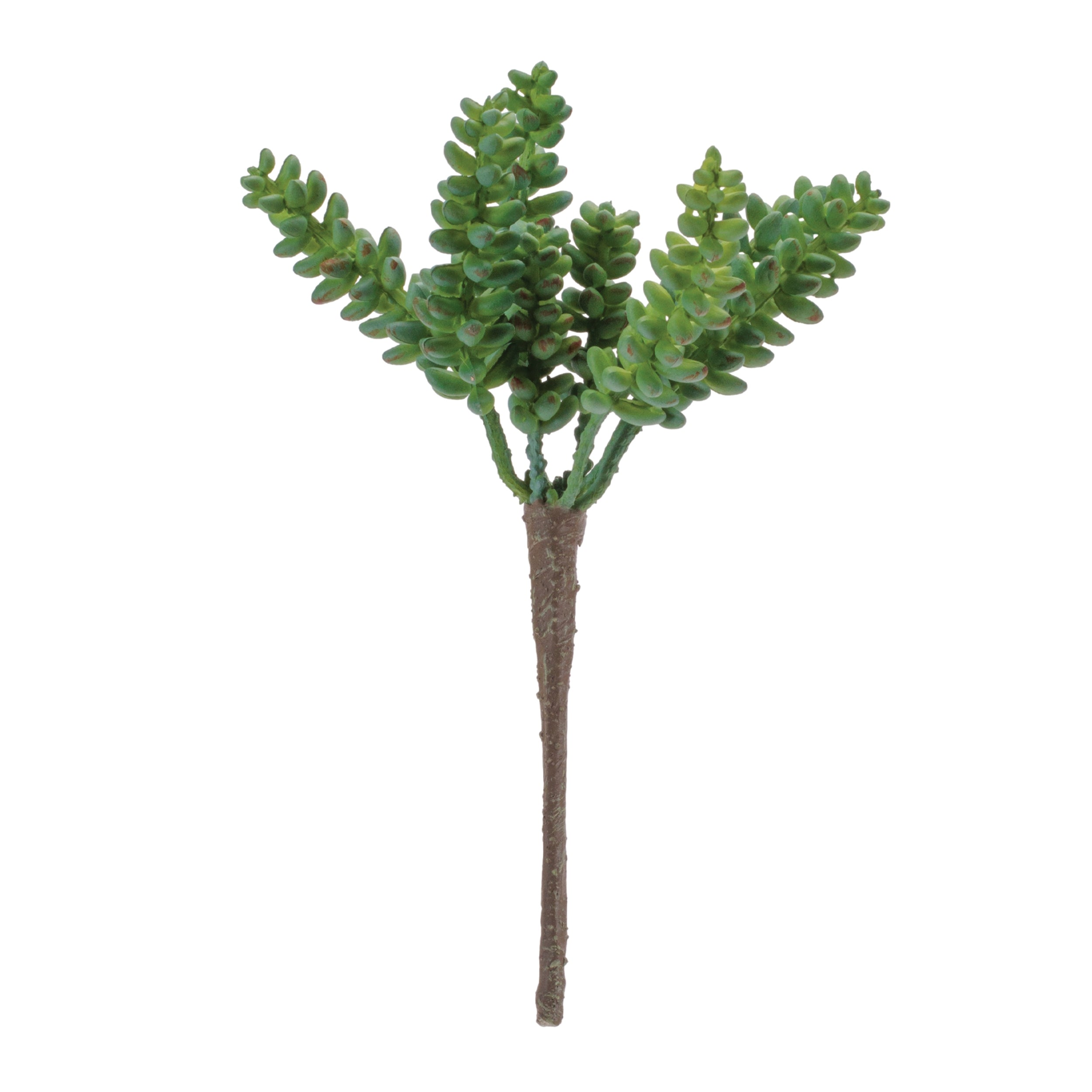 Succulent 8”H