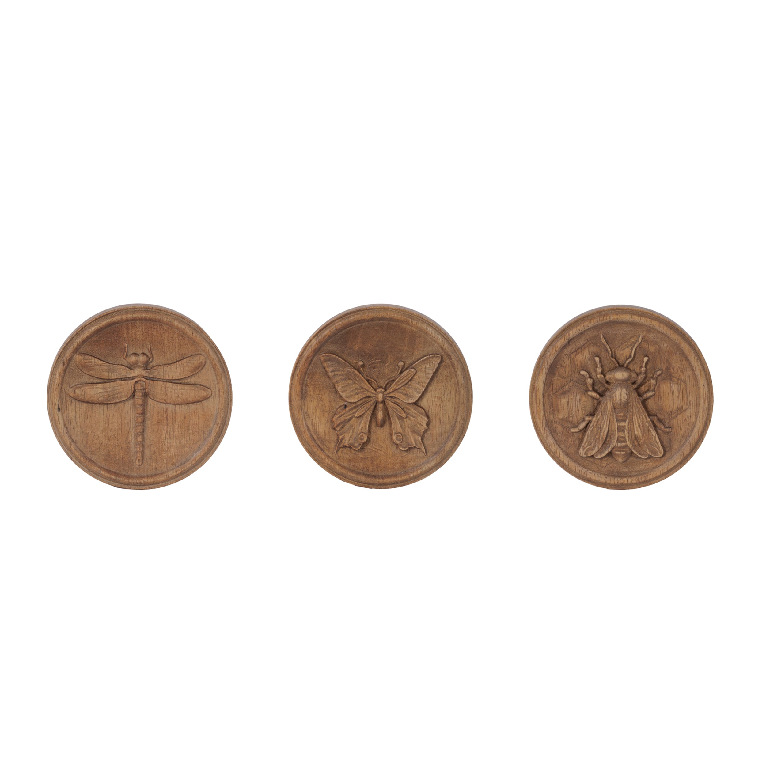 Insect Plaque (3 Asst) 5.75”D Wood