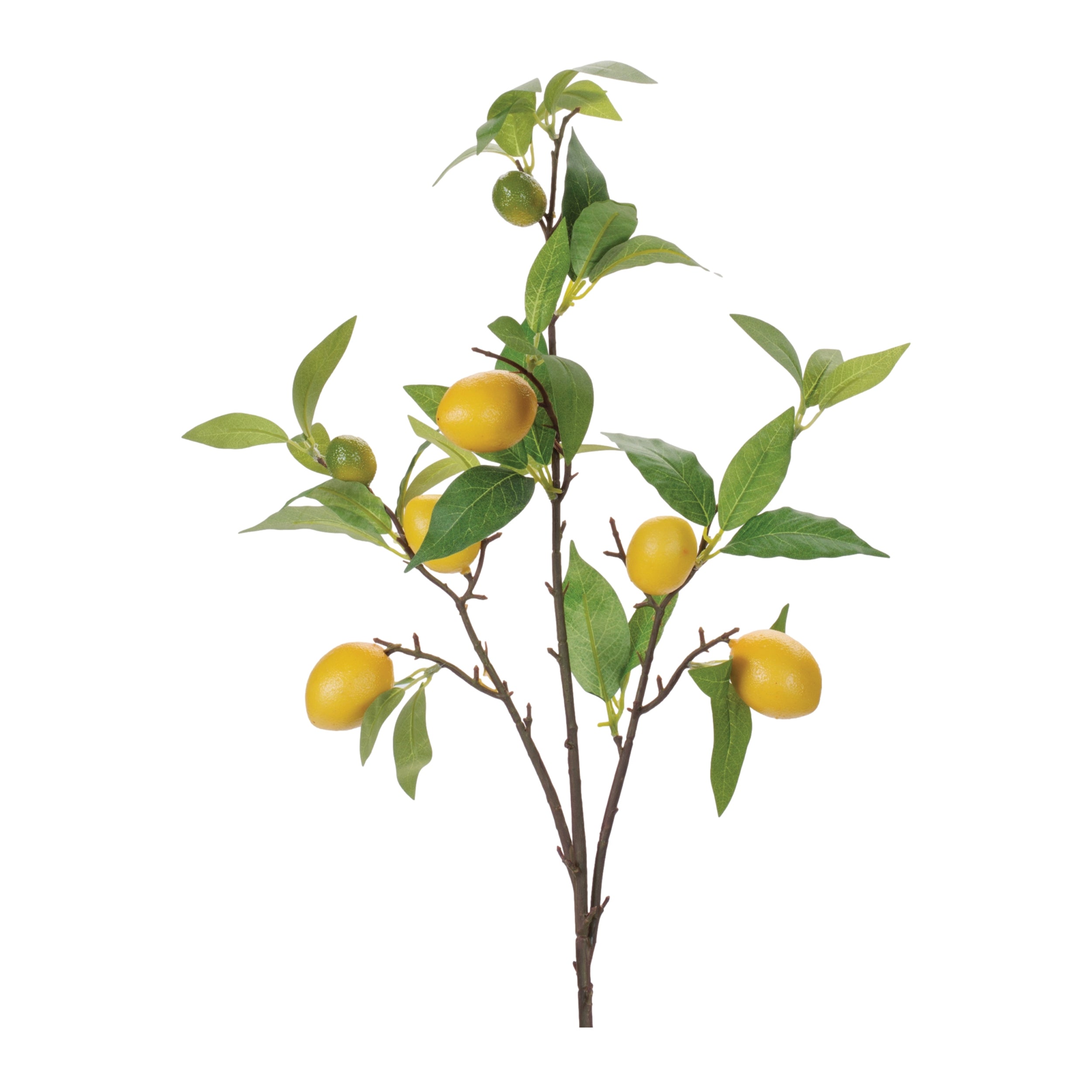 Lemon Branch 33.5”H Polyester/Styrofoam