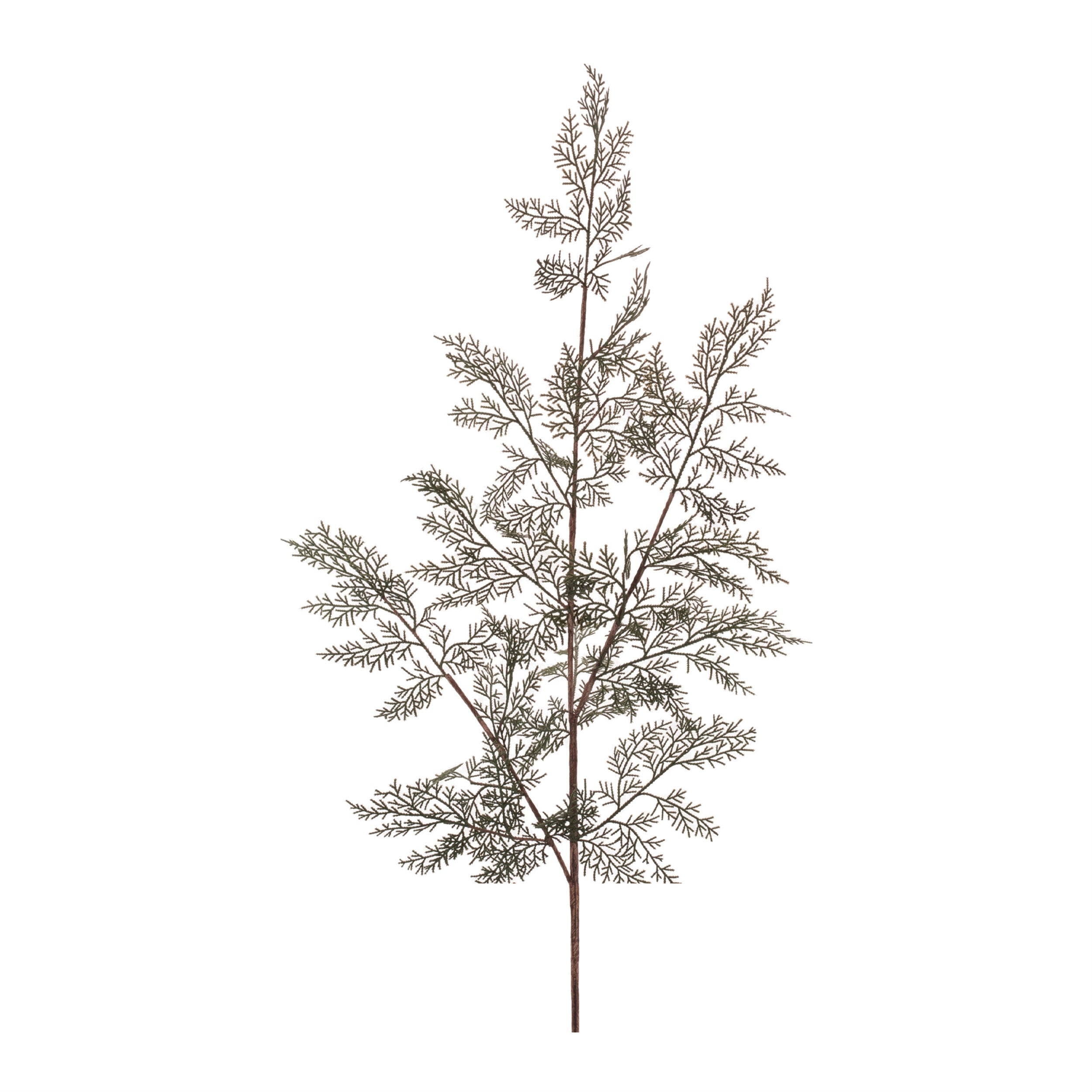 Pine Spray 52”H