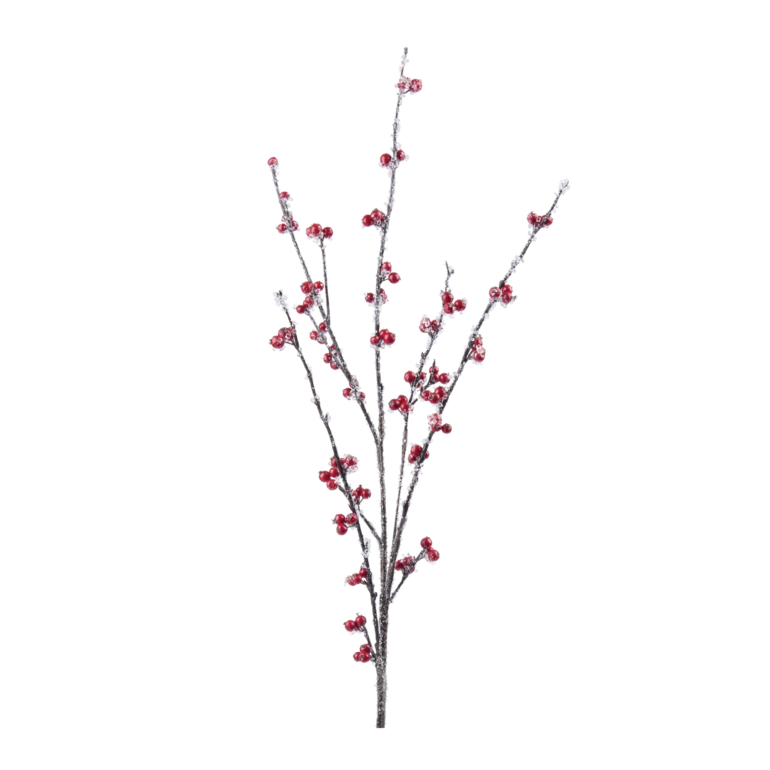 Iced Berry Spray 36”H Foam