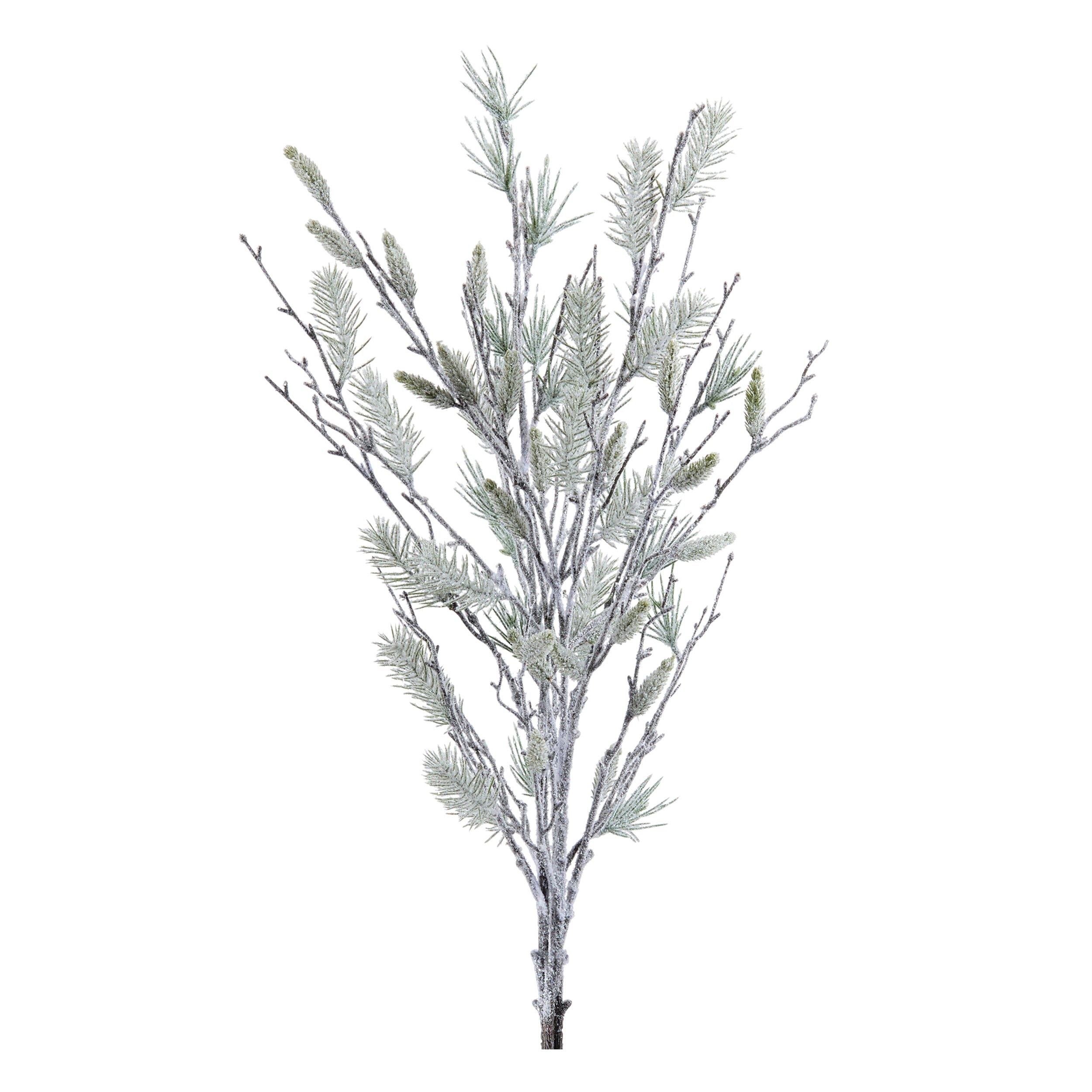 Pine Bundle 40”H