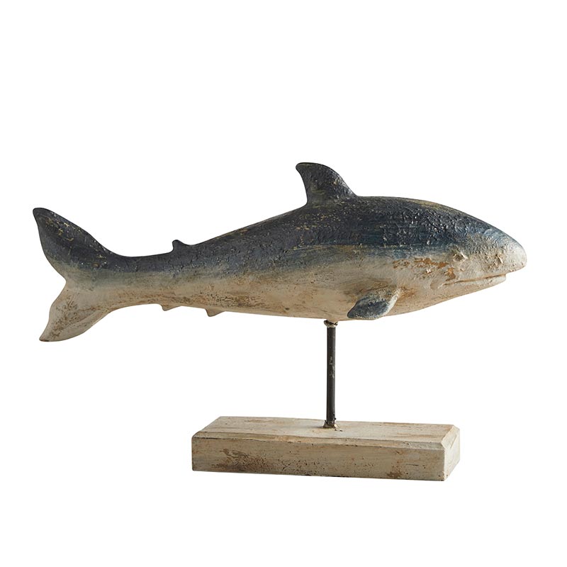 Coastal Whale