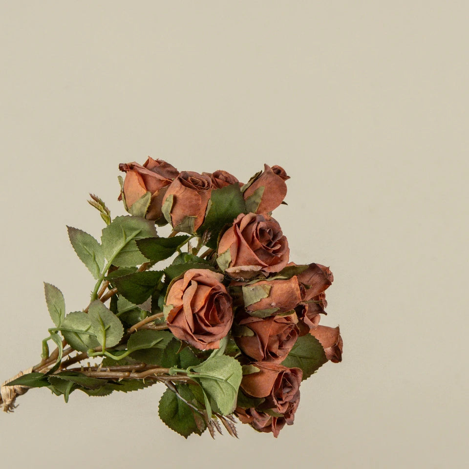 17" Sunset Dried Mini Rose Bundle