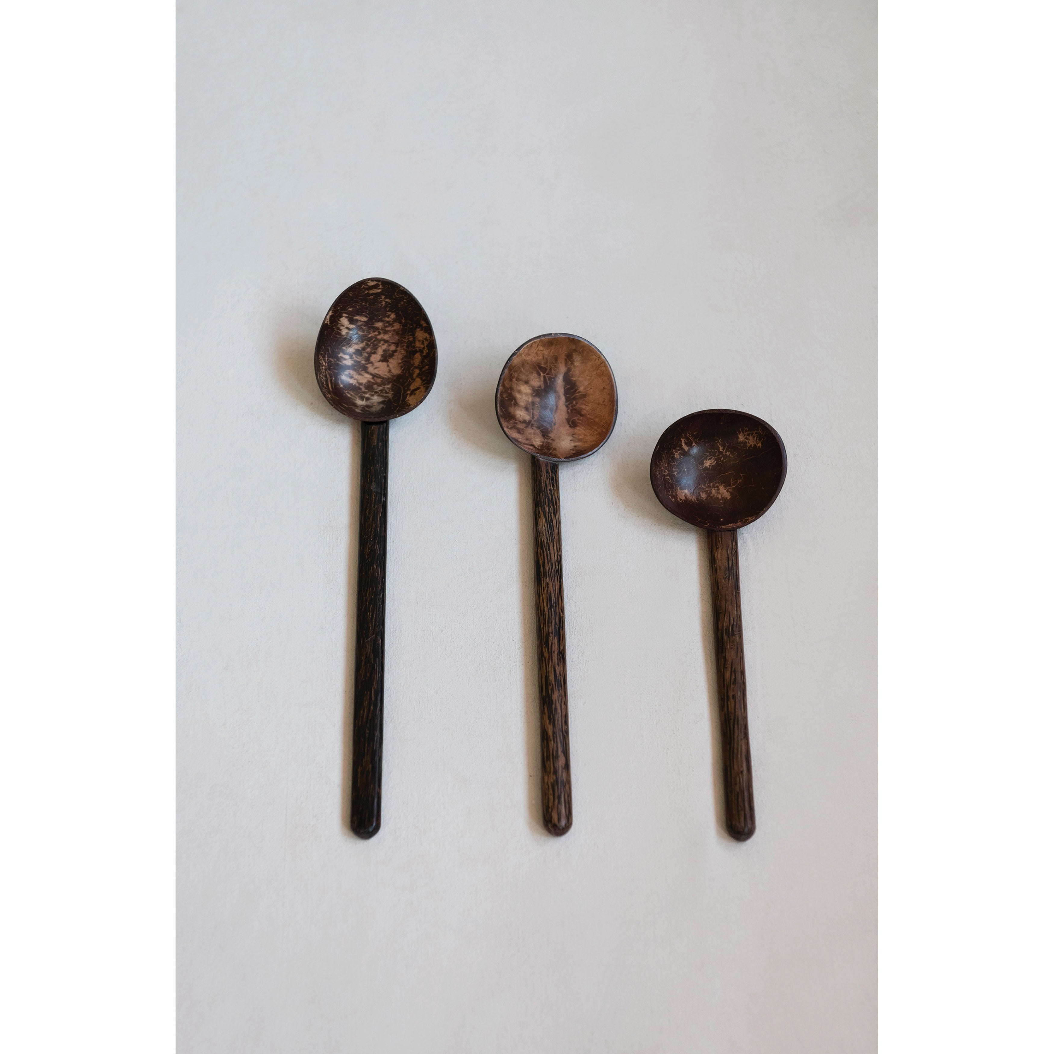 Assorted Size Coconut & Mango Wood Spoons (S/3)