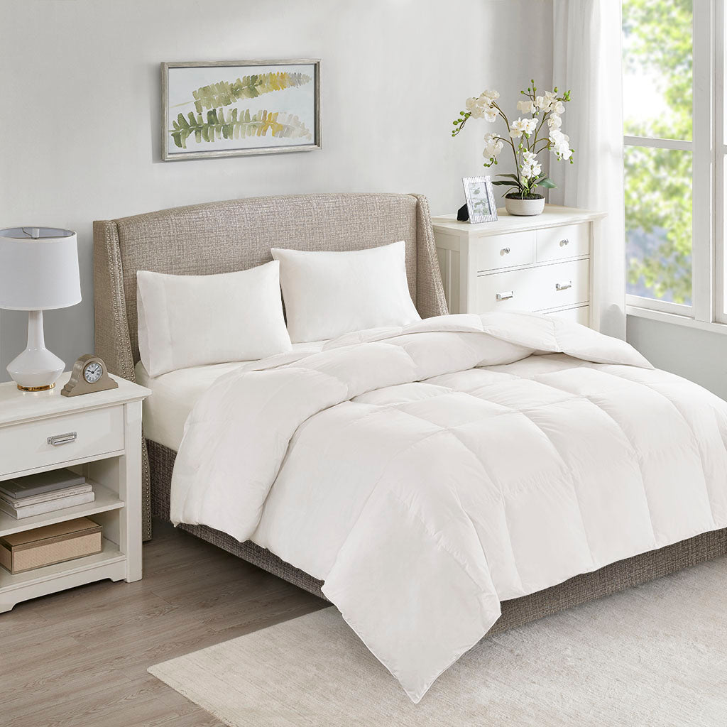 All Season Warmth Oversized 100% Cotton Down Comforter