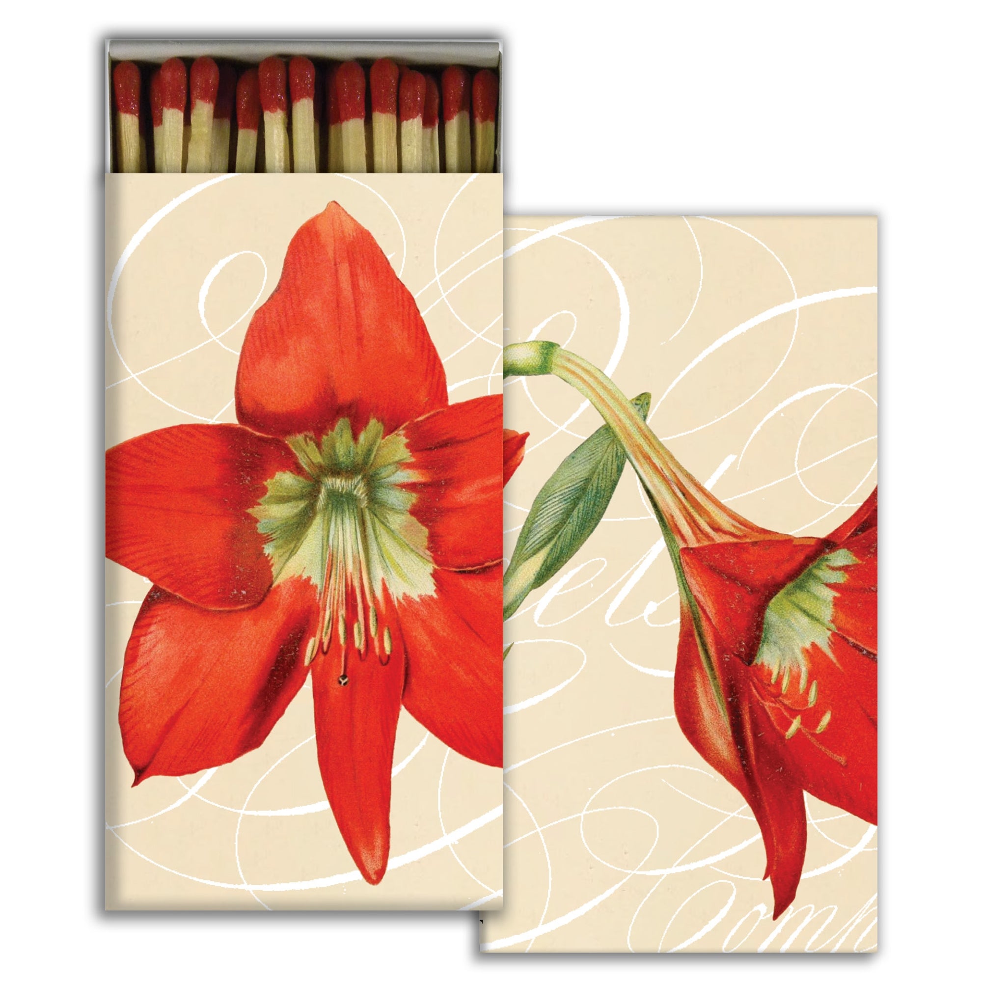 Match - Amaryllis