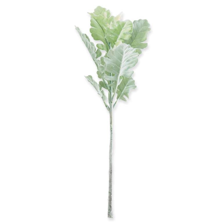 13" Dusty Miller Stem