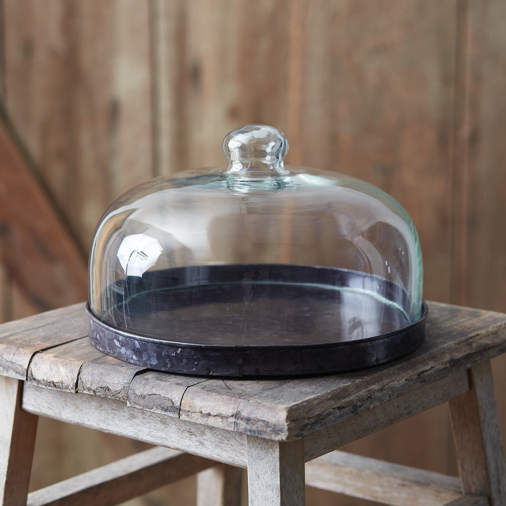 Glass Cloche w/ Black Metal Base
