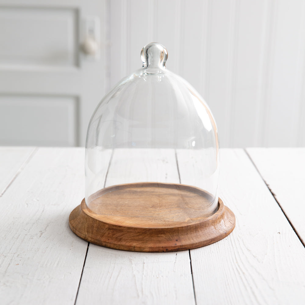 Small Glass Bell Cloche w/ Wooden Stand