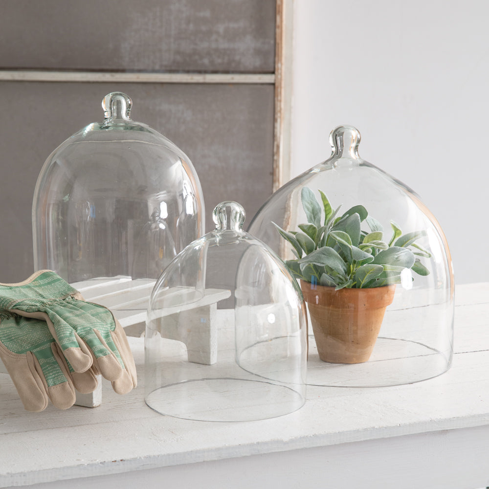 Glass Bell Shaped Cloche (M)