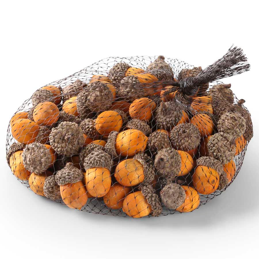 Bag of Acorns - Yellow (5610106159261)