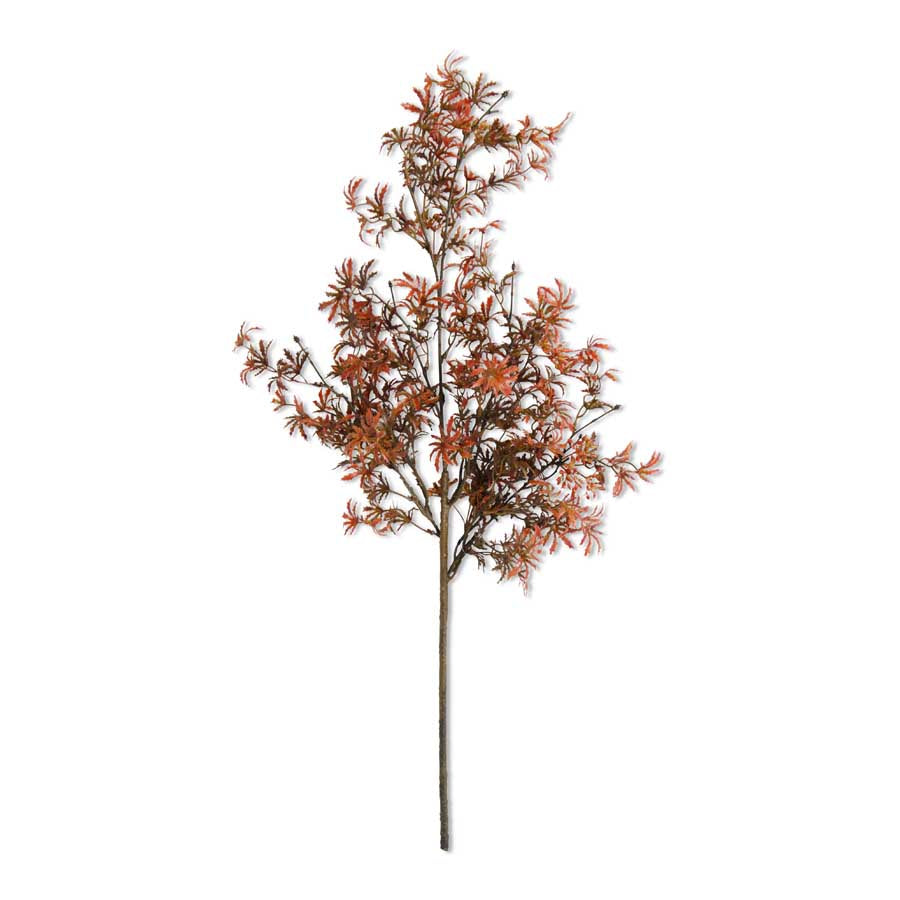 30" Fall Japanese Maple Stem (5610100031645)