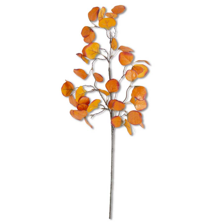 28" Gumdrop Eucalyptus Stem - Rust