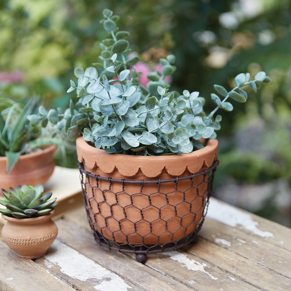 Chicken Wire Caddy w/ Scalloped Planter