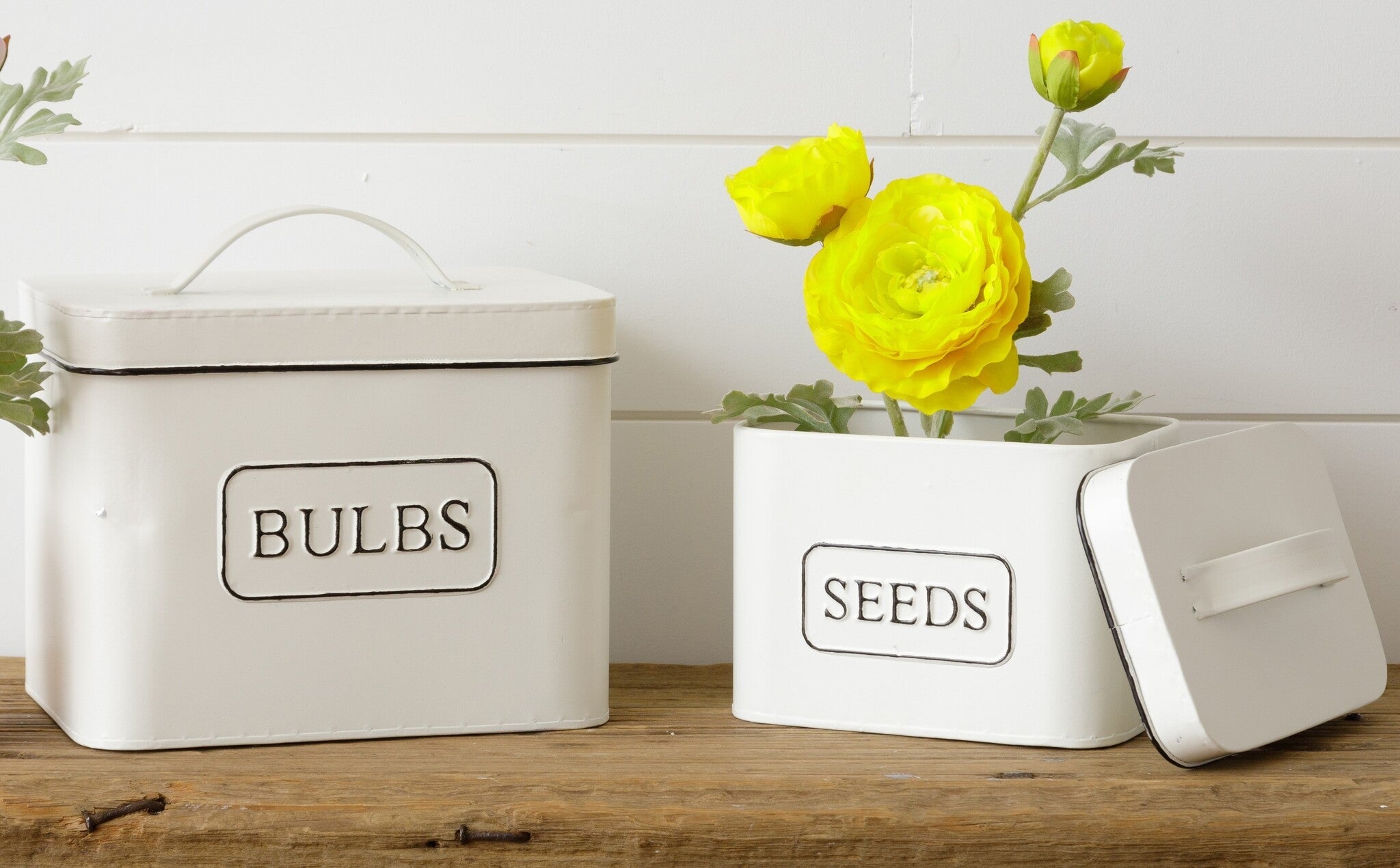 Bulbs & Seeds Containers (S/2)
