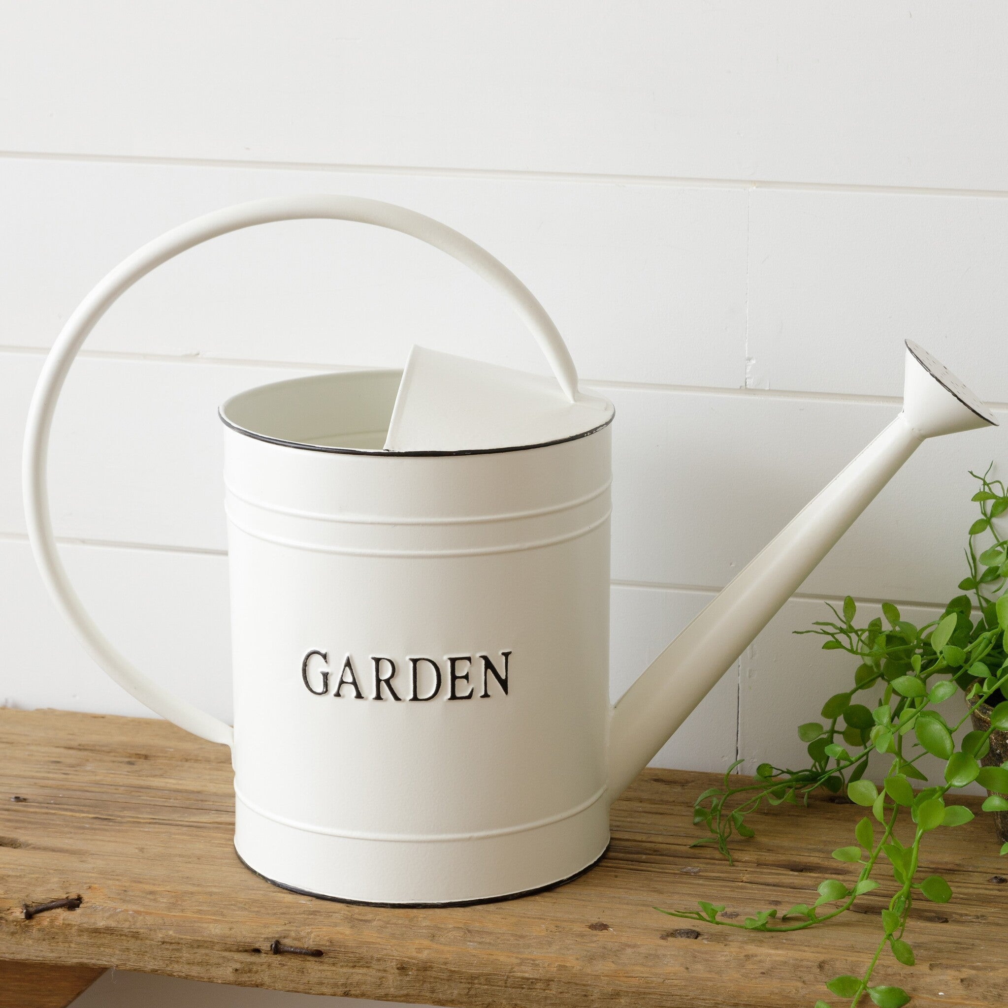 Oversized Neutral Watering Can