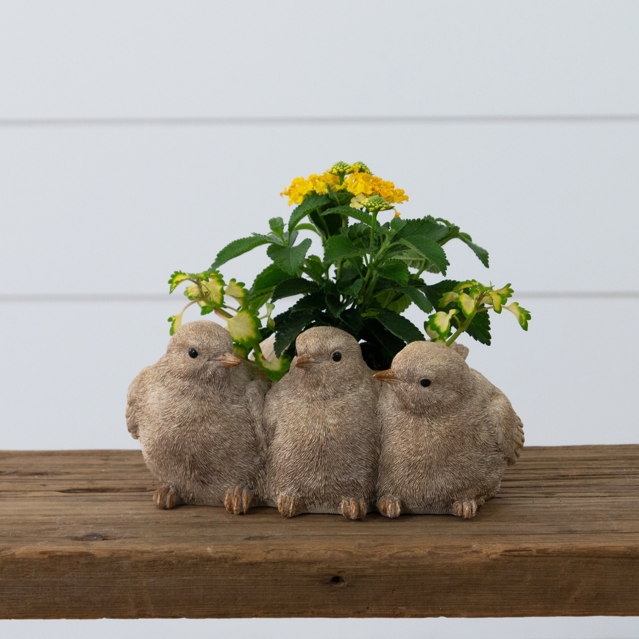 Planter - Bird Trio