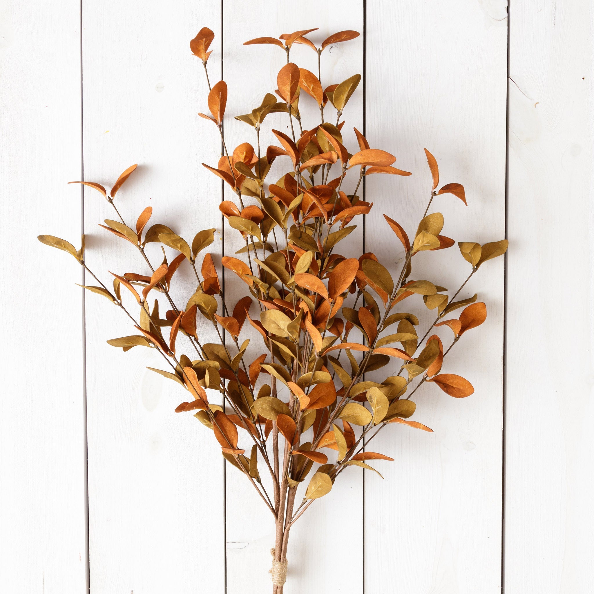 Rust & Tan Leaves Foliage Branch