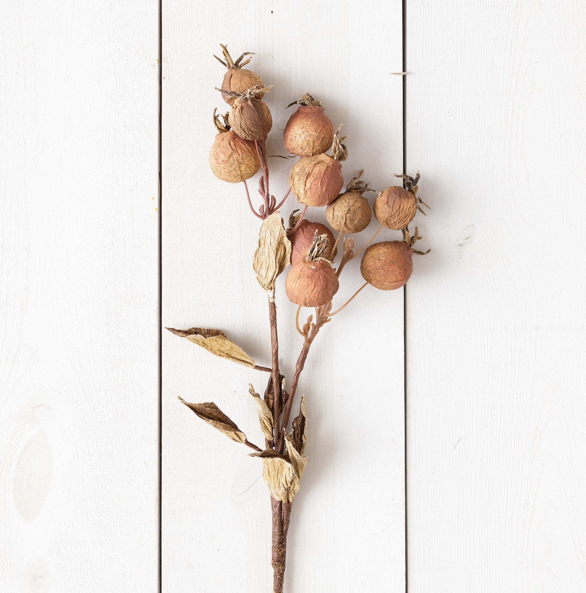 Fall Pods Branch (S/2)