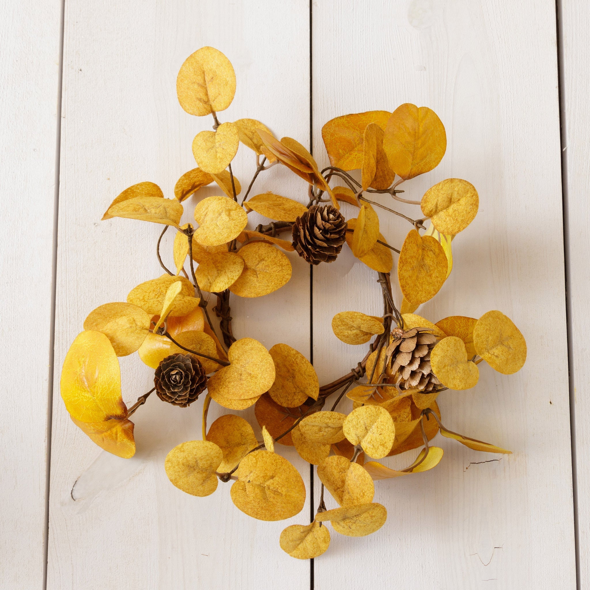 Mustard Eucalyptus Candle Ring (S/2)