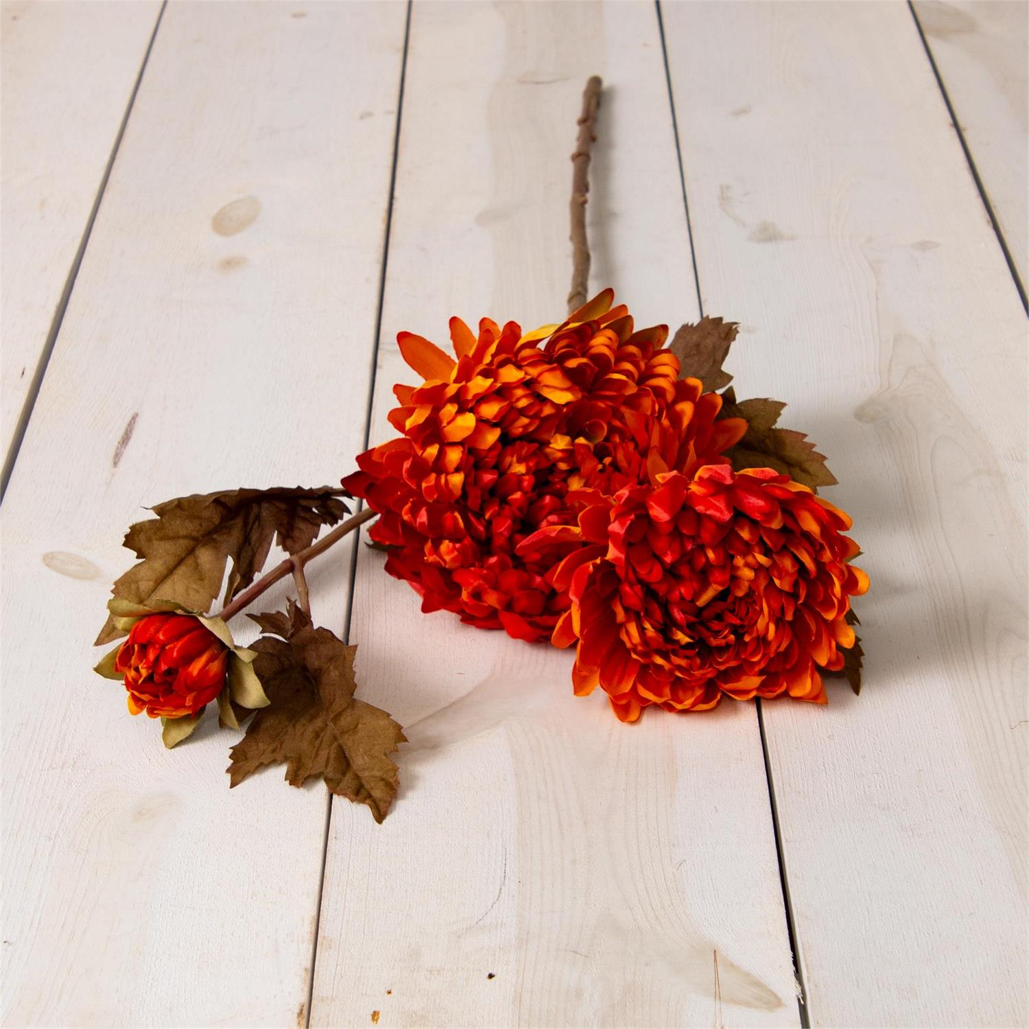 Stem - Chrysanthemum And Buds, Burnt Orange
