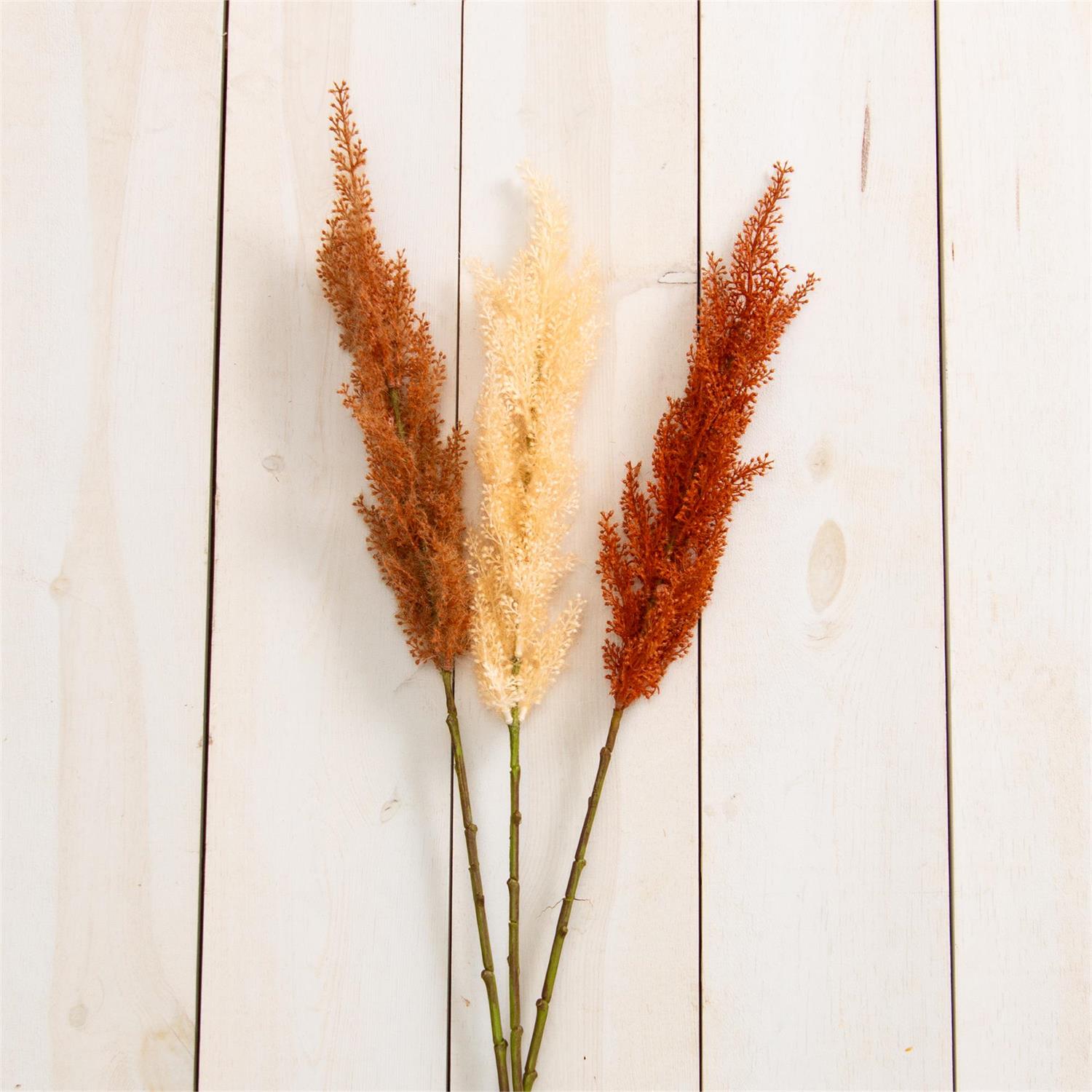 Stem - Reed Clusters, Pumpkin Spice