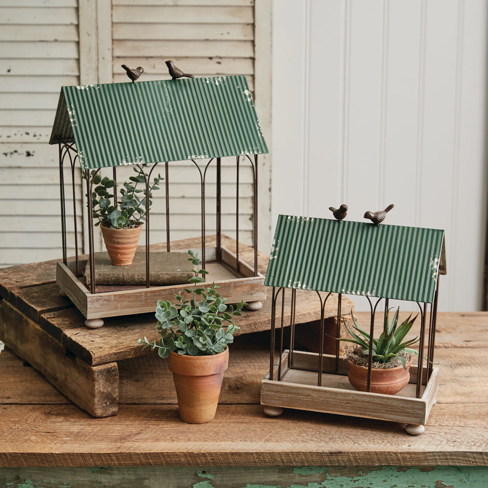 Green Roof Terrarium (S/2)