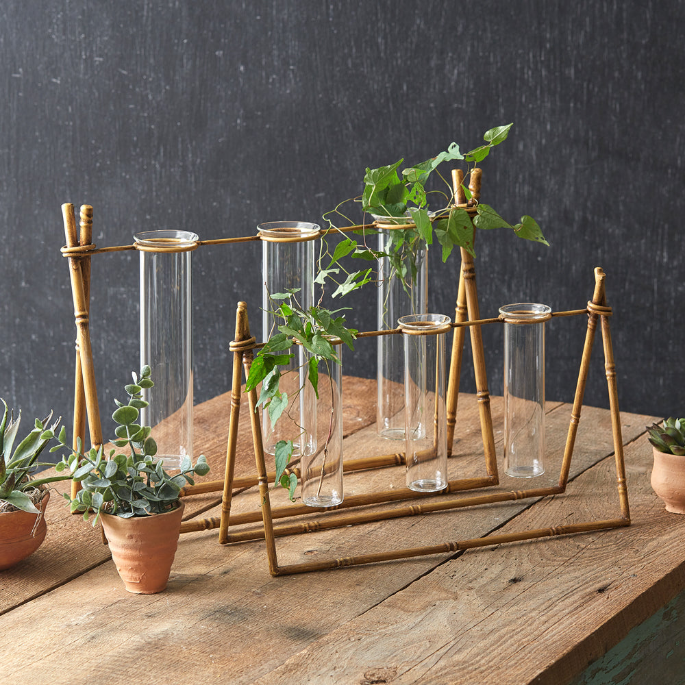 Bamboo Propagation Station