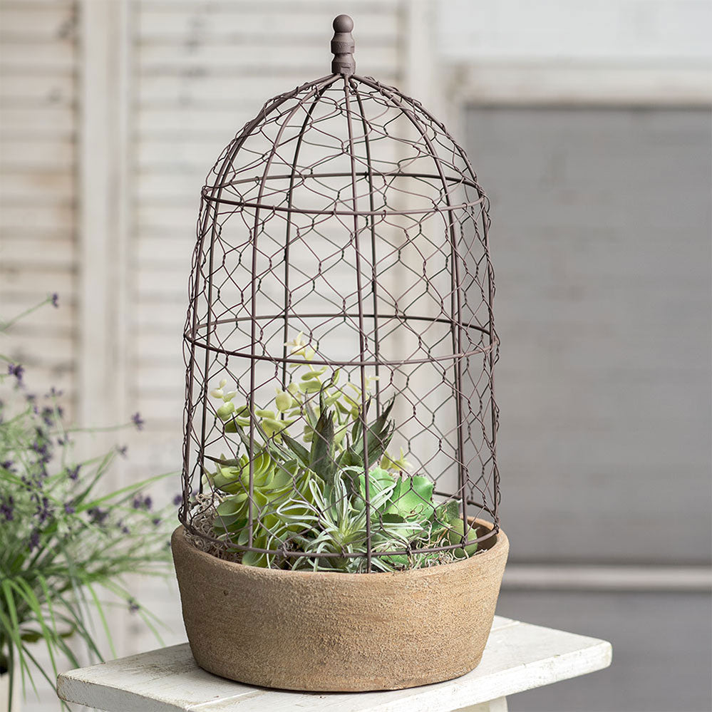 Tall Chicken Wire Cloche with Terra Cotta Pot (5609955131549)