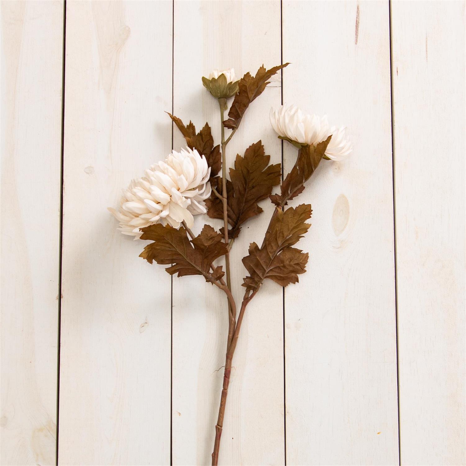 Stem - Chrysanthemum and Buds, Creamy White