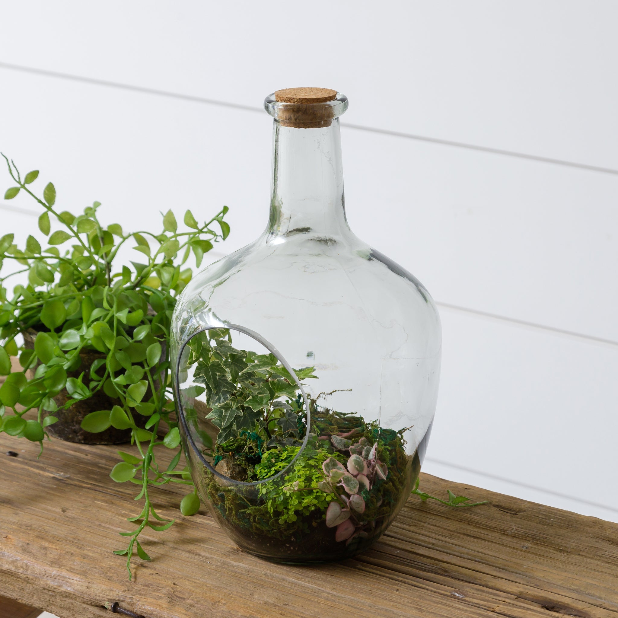Front Open Terrarium With Cork, Sm