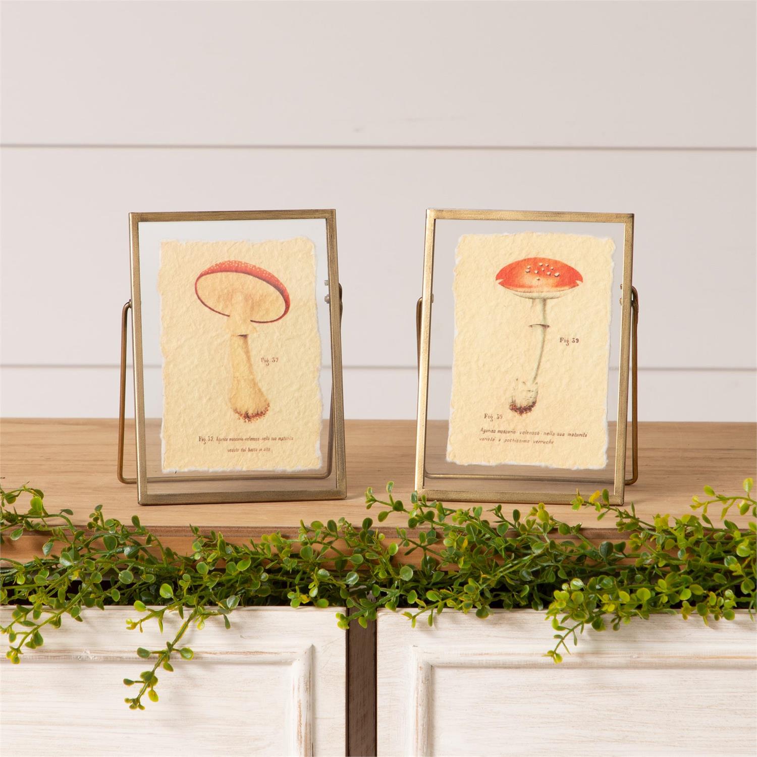 Mushrooms Artwork In Gold Frames (S/2)