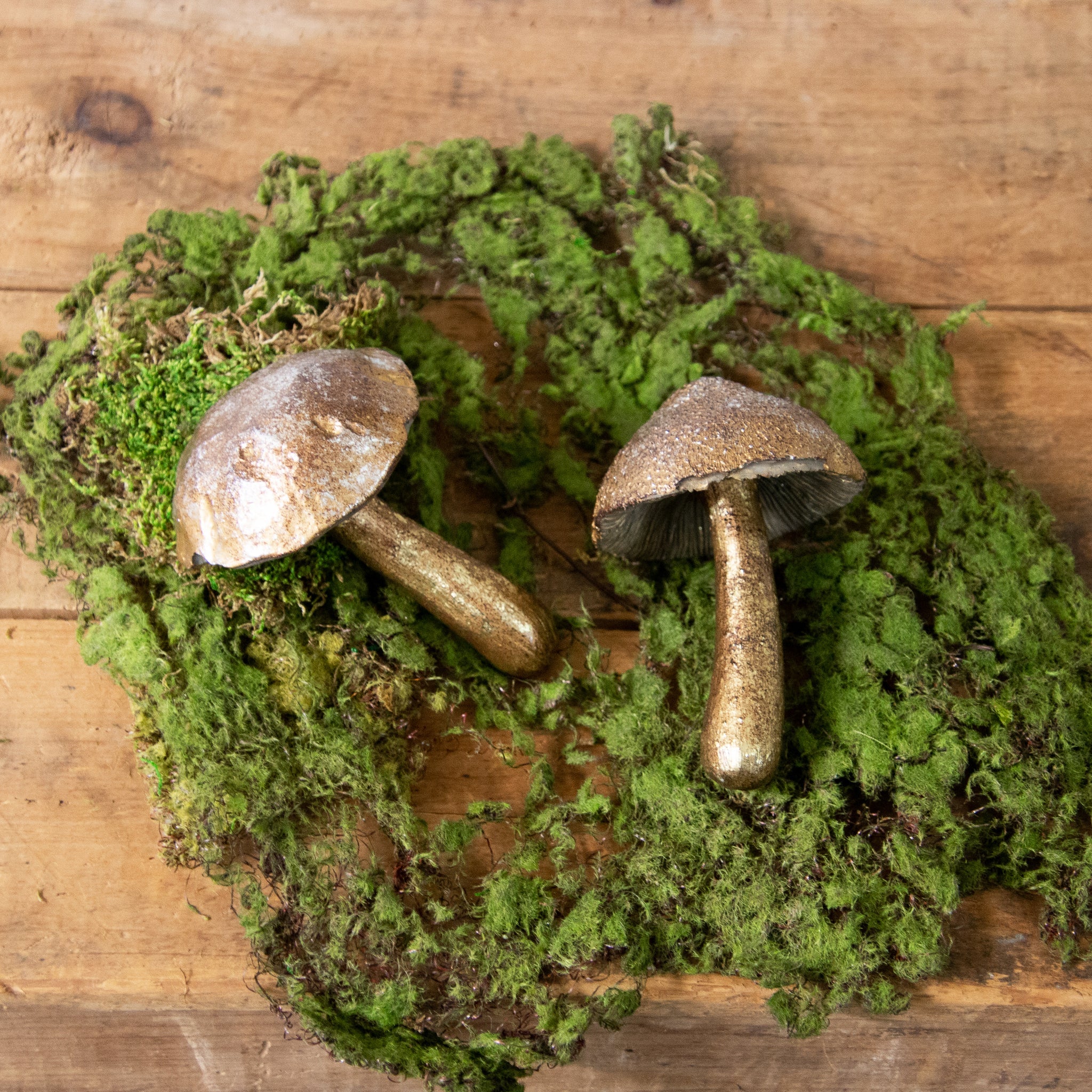 Brass Tone Mushroom Figures (S/2)