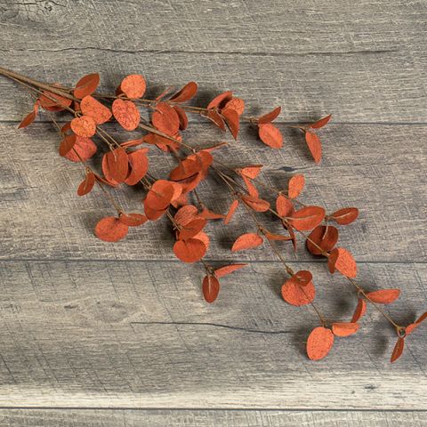 34" Dark Rust Eucalyptus Spray (5610104979613)