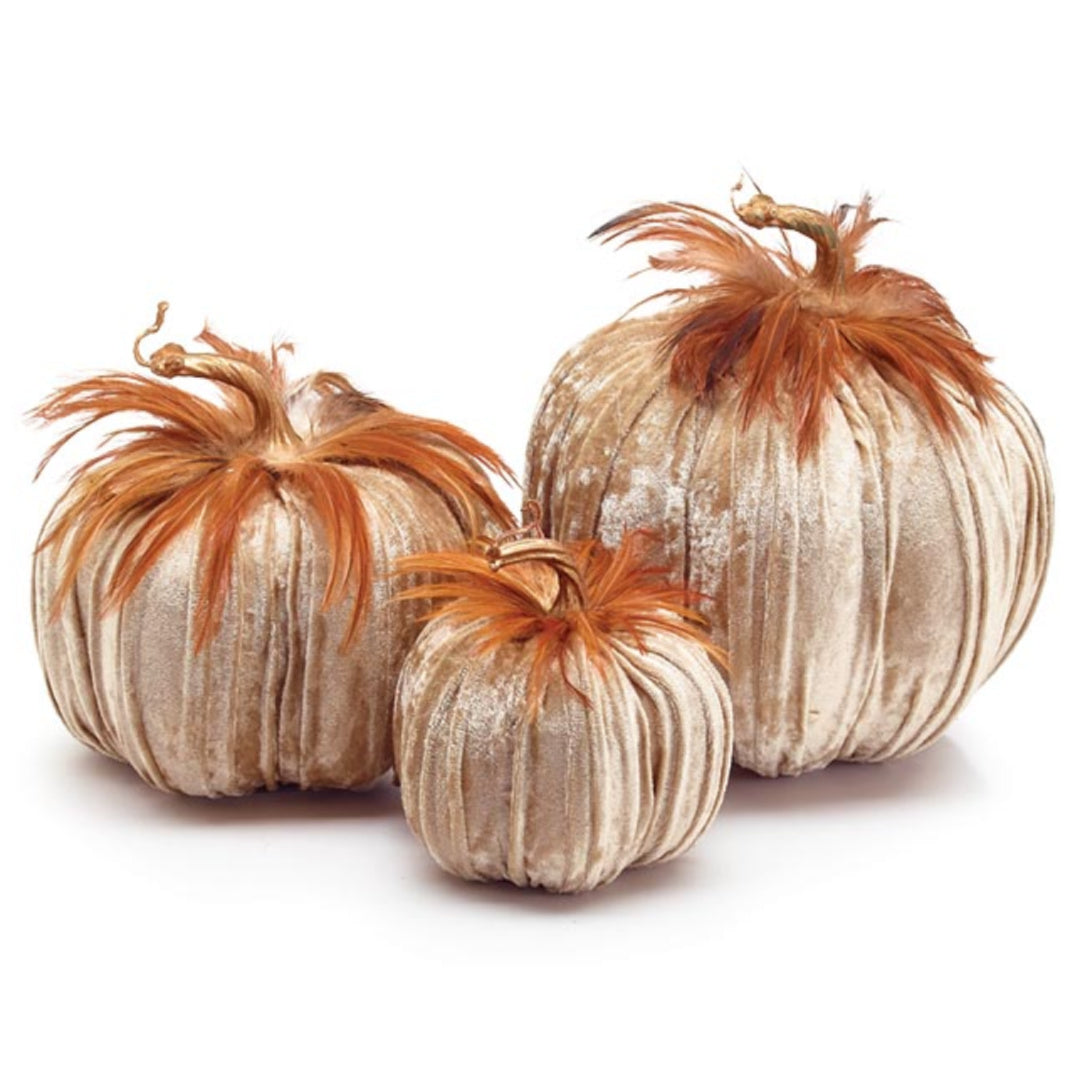 Champagne Velvet Pumpkins (S/3)