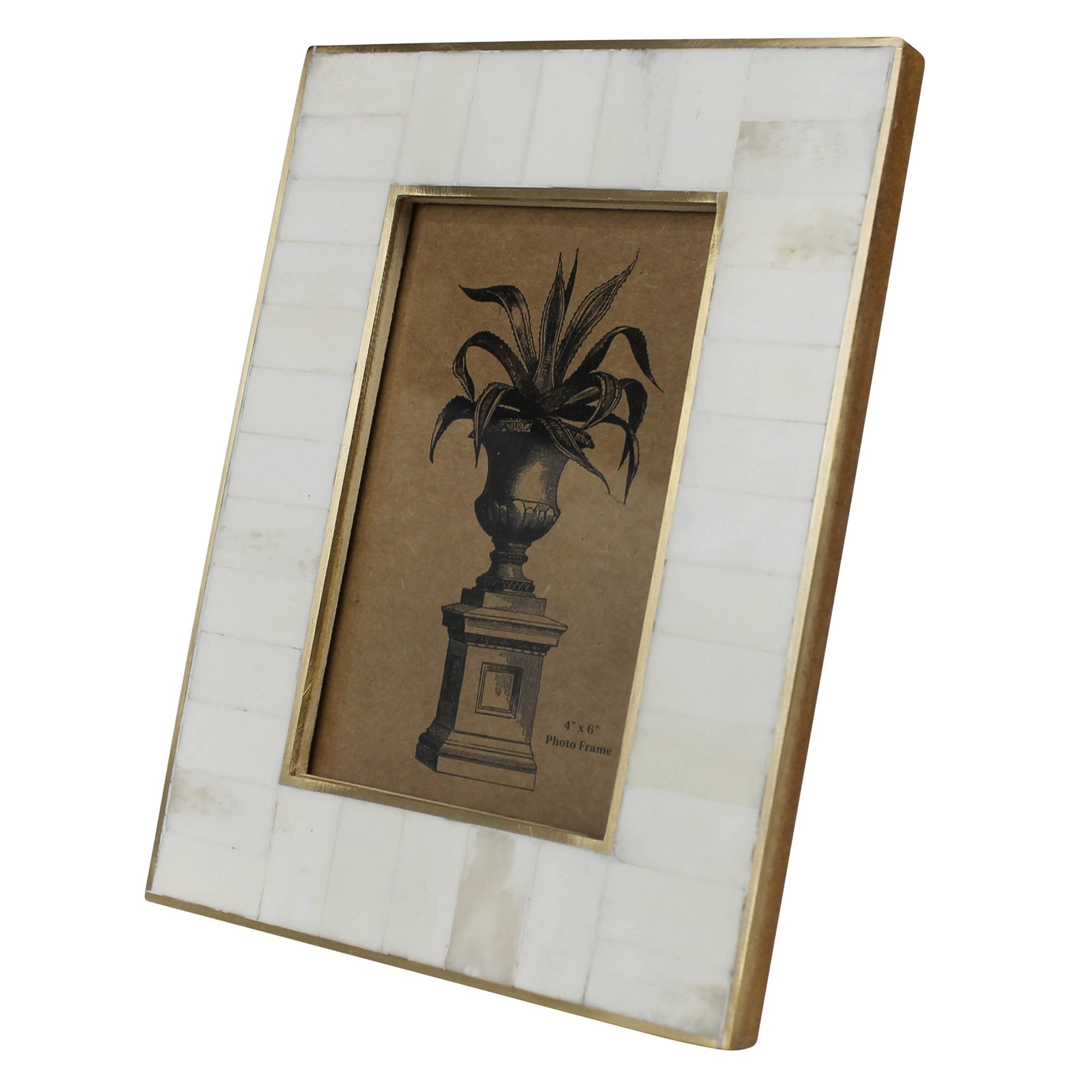 White Frame, Bone with Brass - 4x6