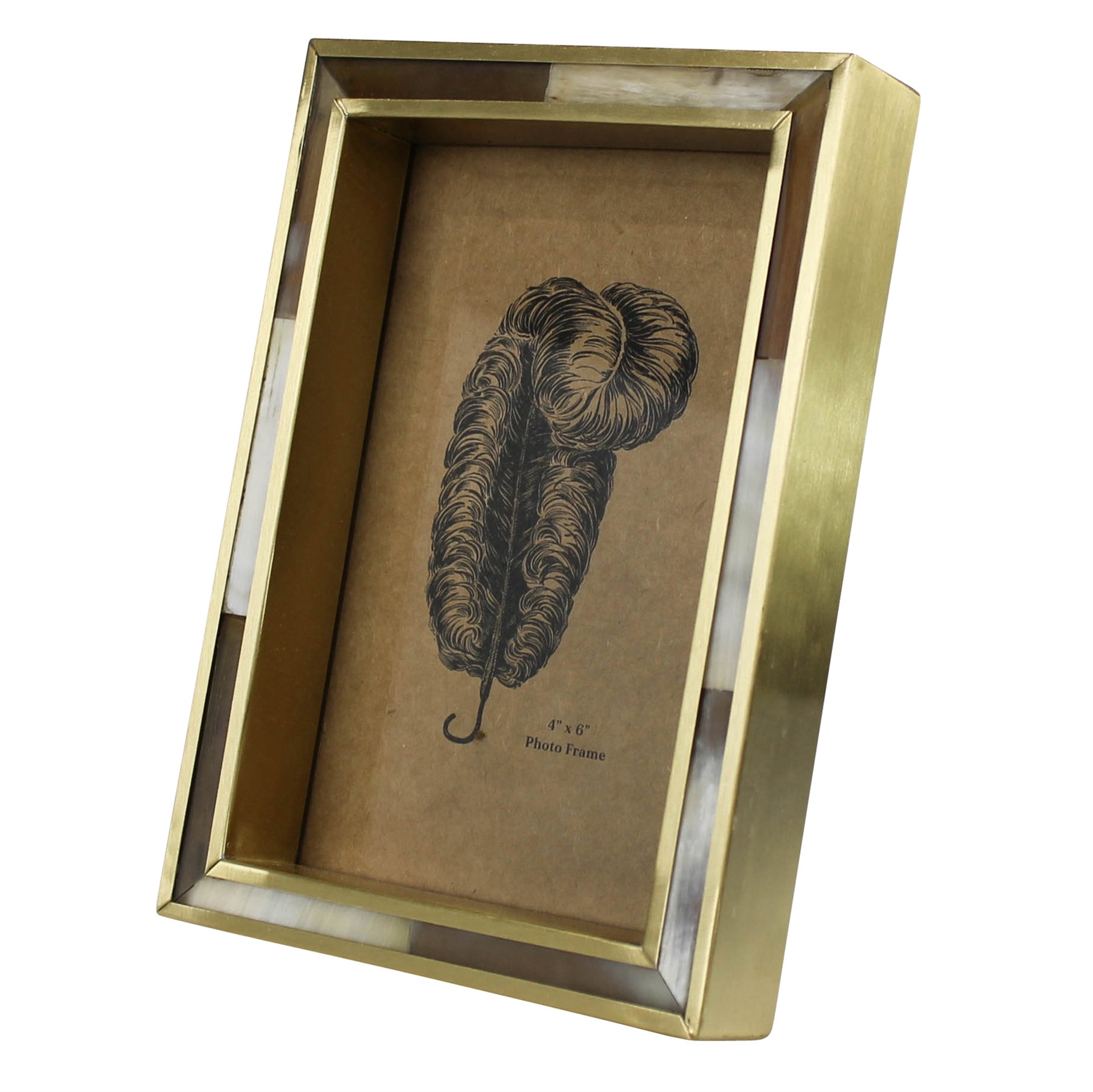 White Horn Frame, Brass Boarder - 4x6