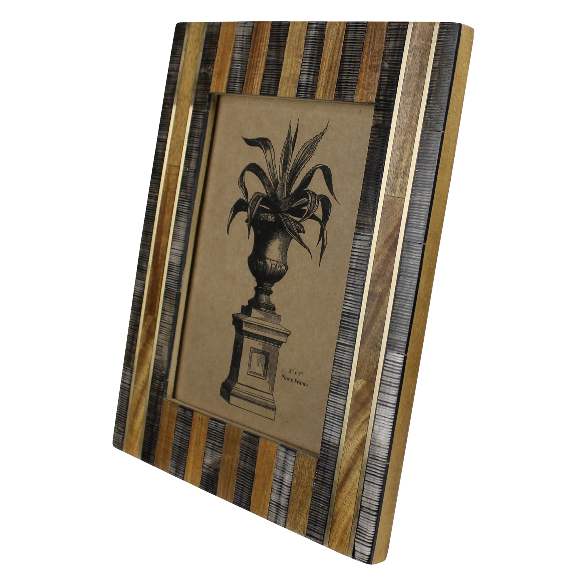 Frame, Chiseled Horn, Sheesham & Brass 5x7