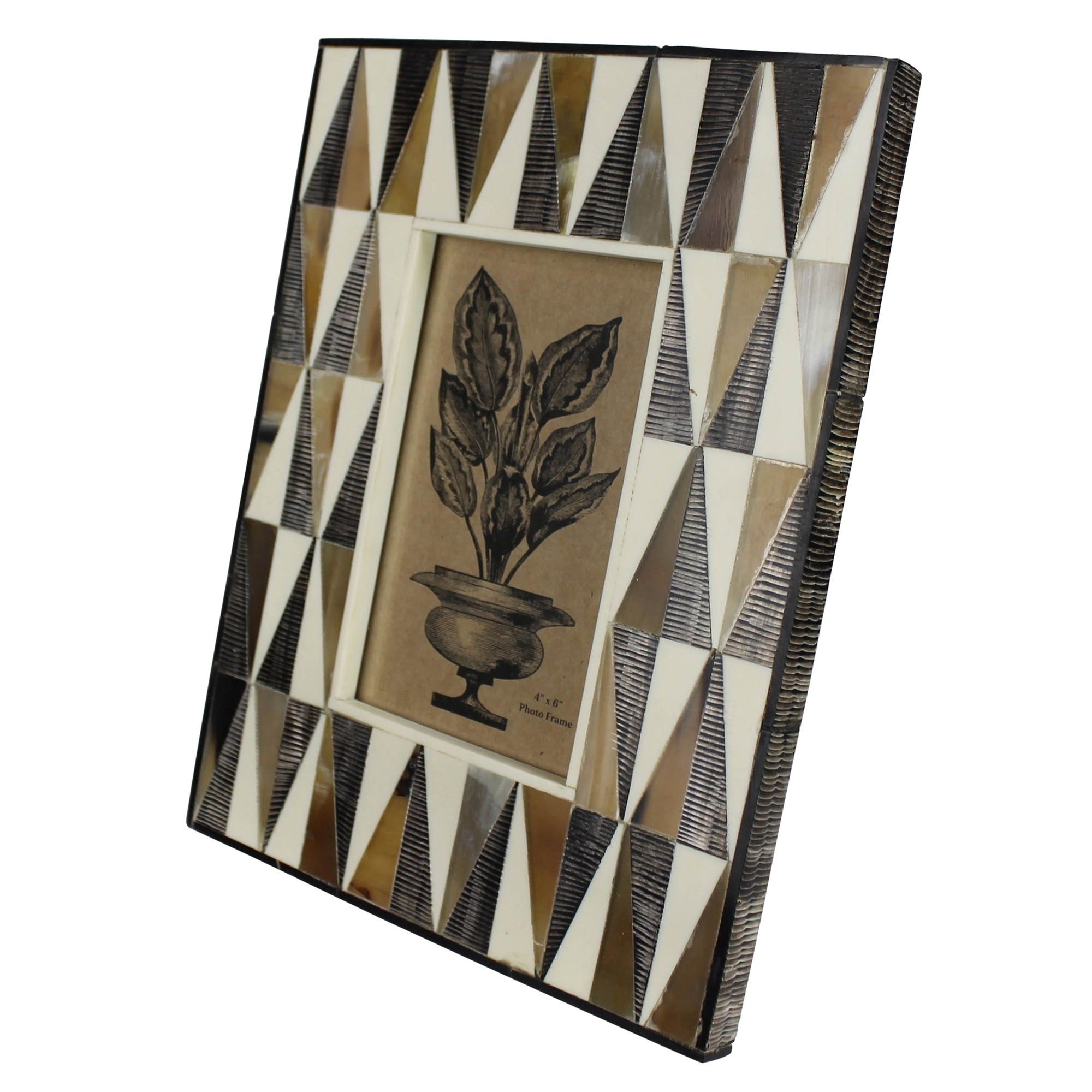 Frame, White Bone, Horn, Chagrin Black Horn 4x6