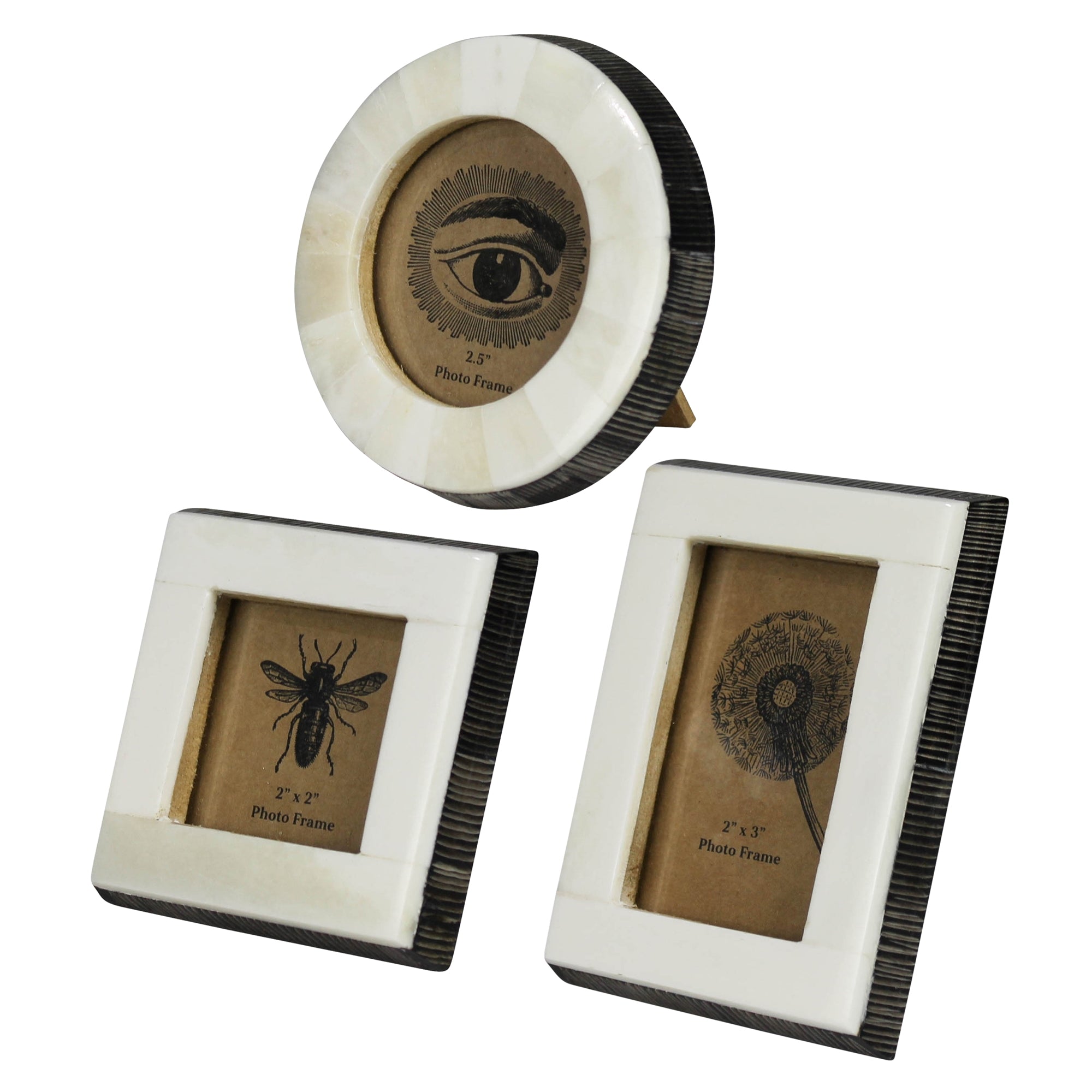 Frames, Set/3, White Bone / Chiseled Horn